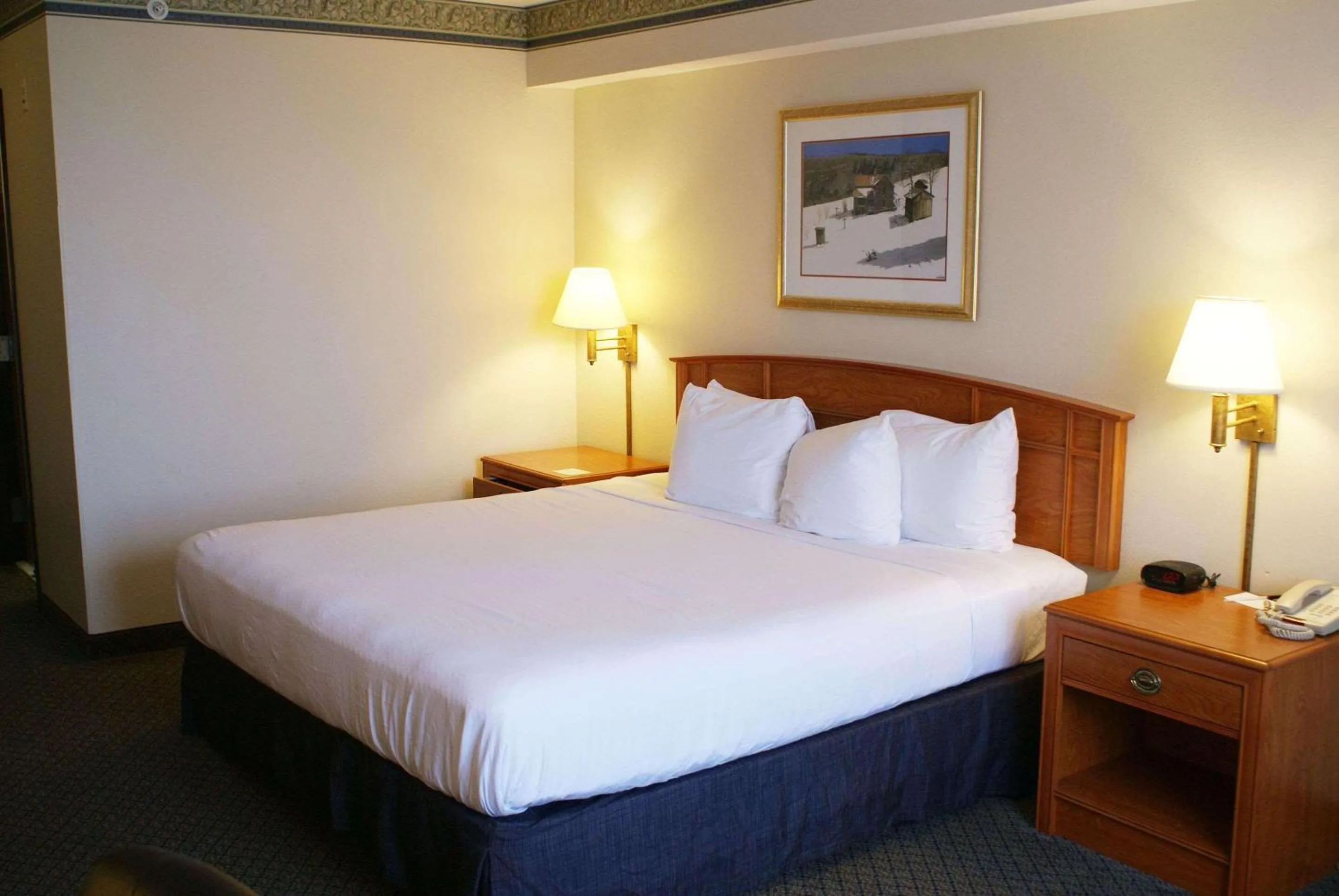 Bedroom, Bed in Country Inn & Suites by Radisson, Lansing, MI