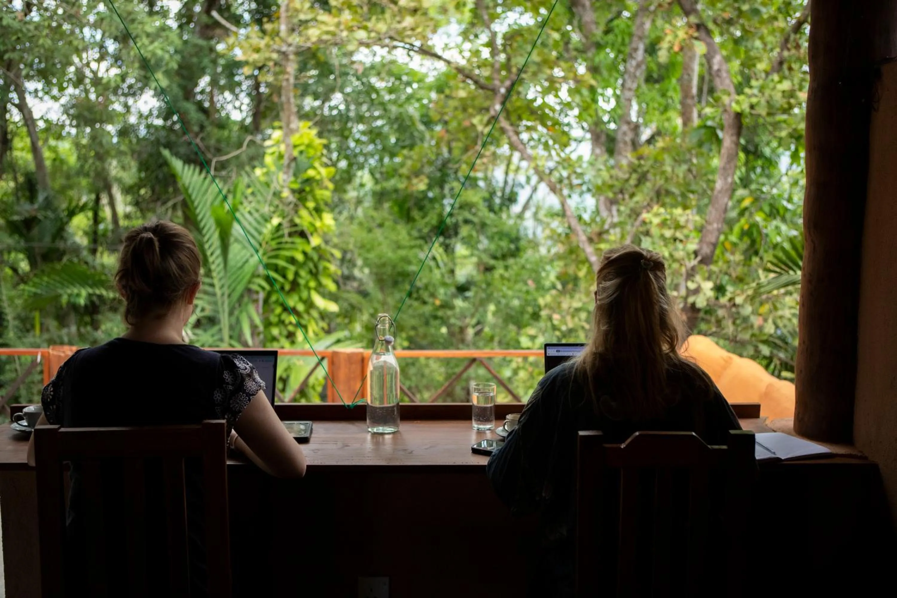 Natural landscape in Polwaththa Eco Lodges