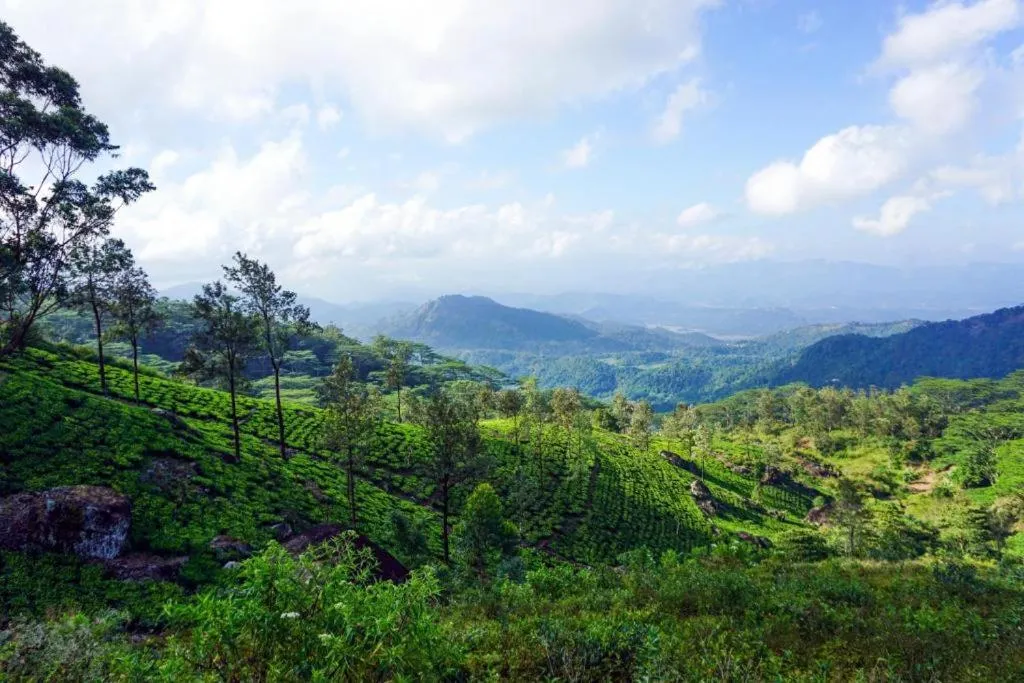 Hiking in Polwaththa Eco Lodges