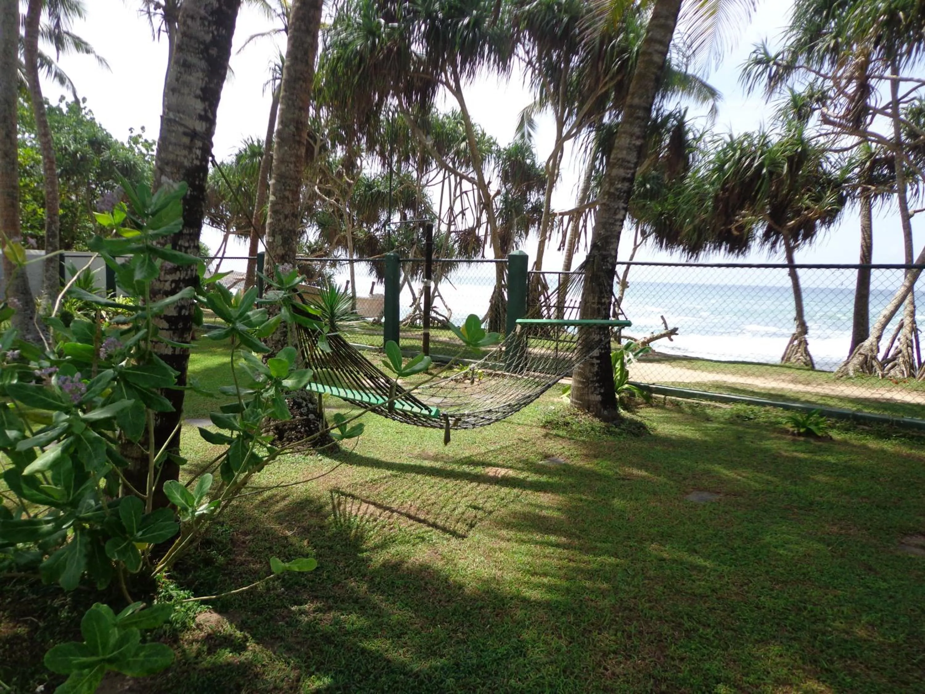 Natural landscape in Villa Tissa Beach Resort