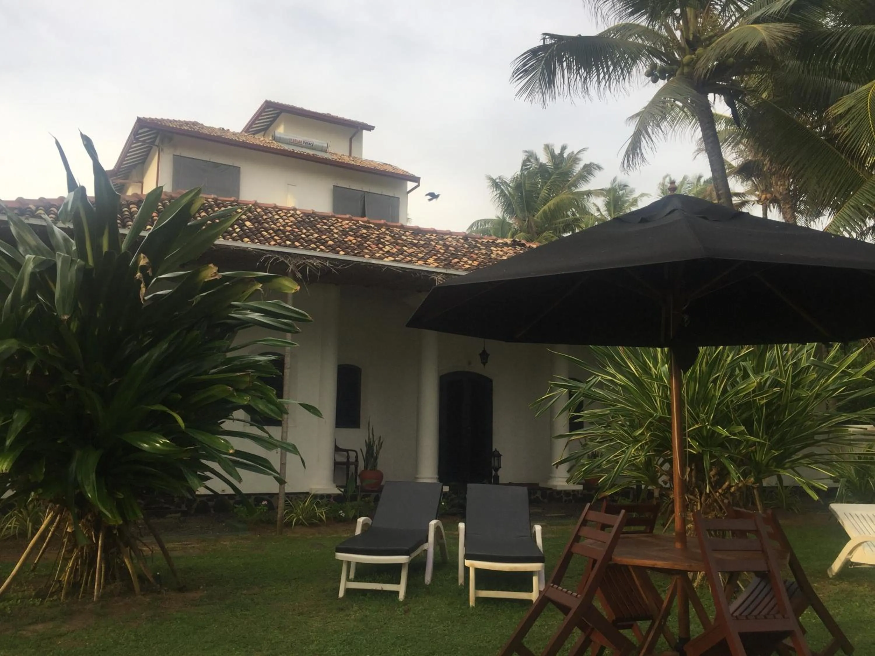 Garden in Villa Tissa Beach Resort