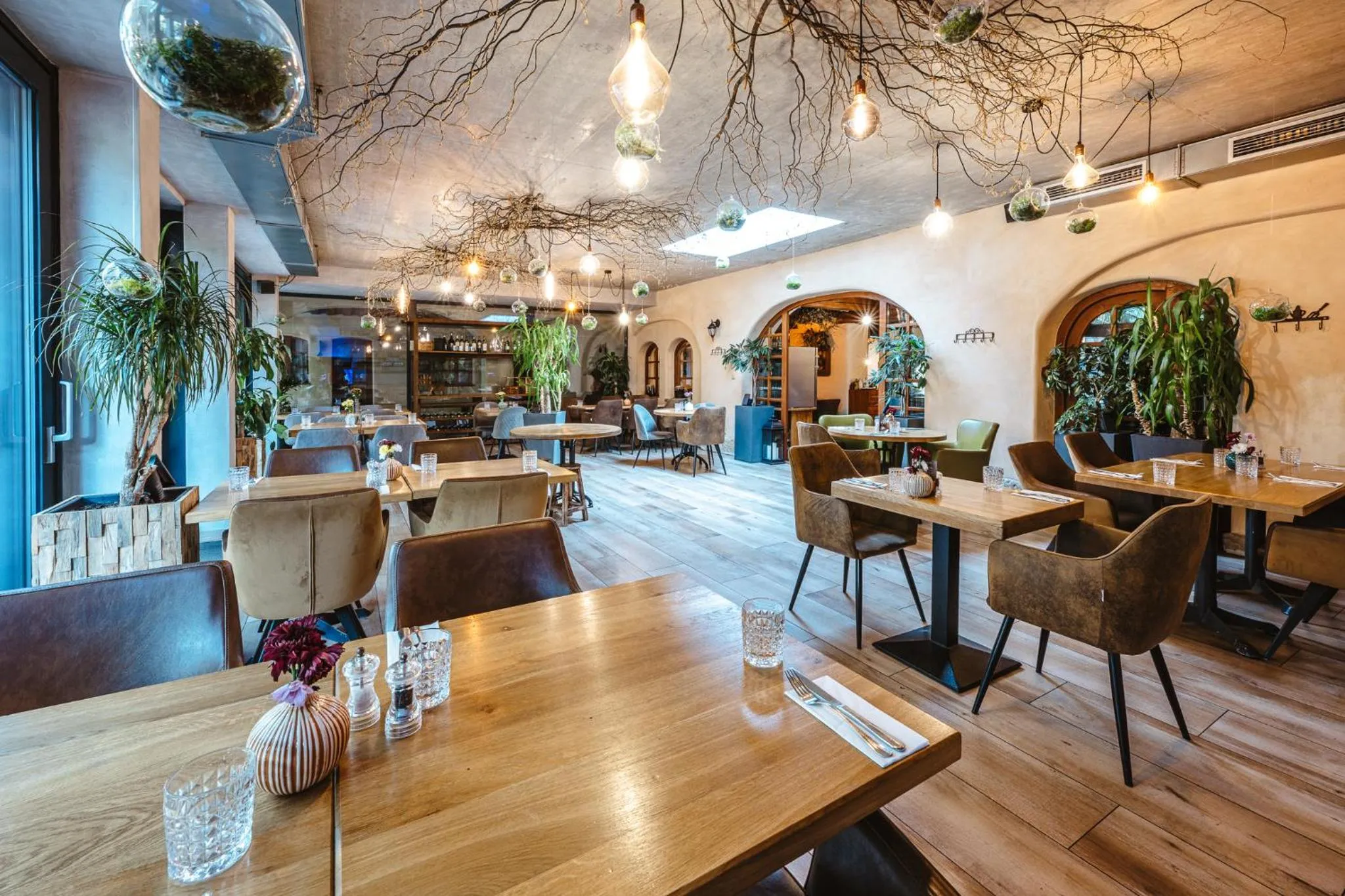 Restaurant/places to eat in Hotel Frýdl