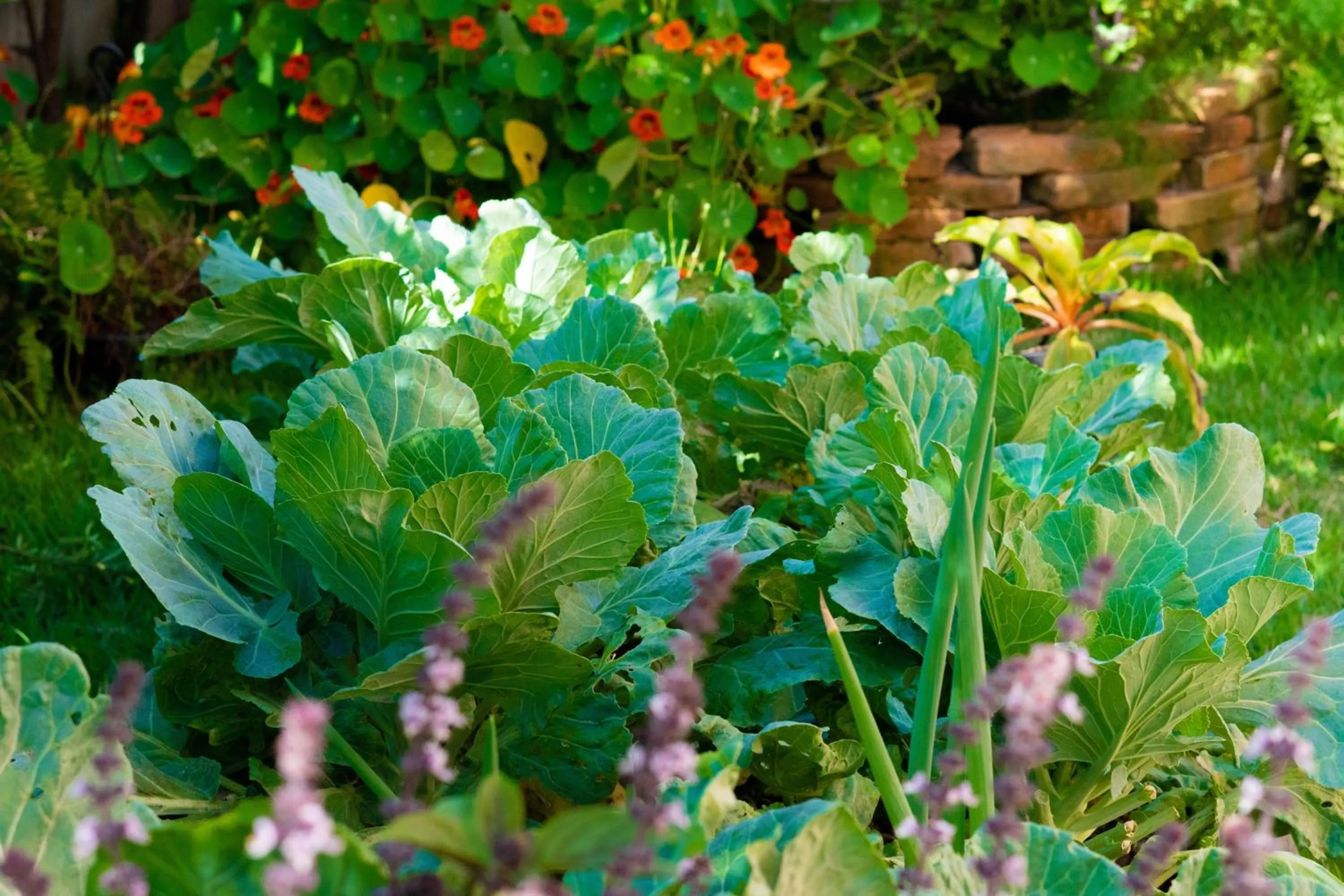 Pousada Rosa Tropicalia