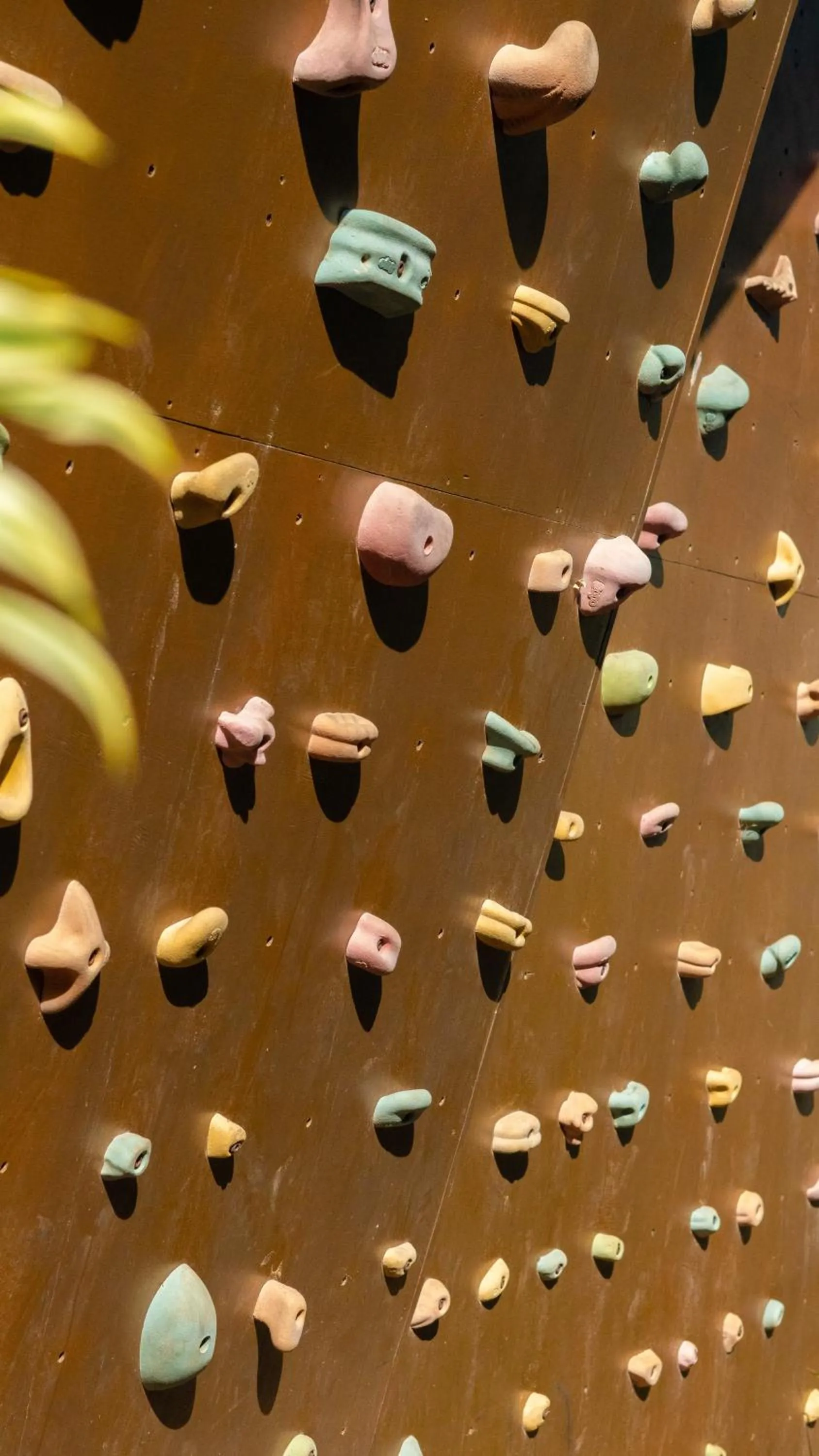 Pousada Rosa Tropicalia