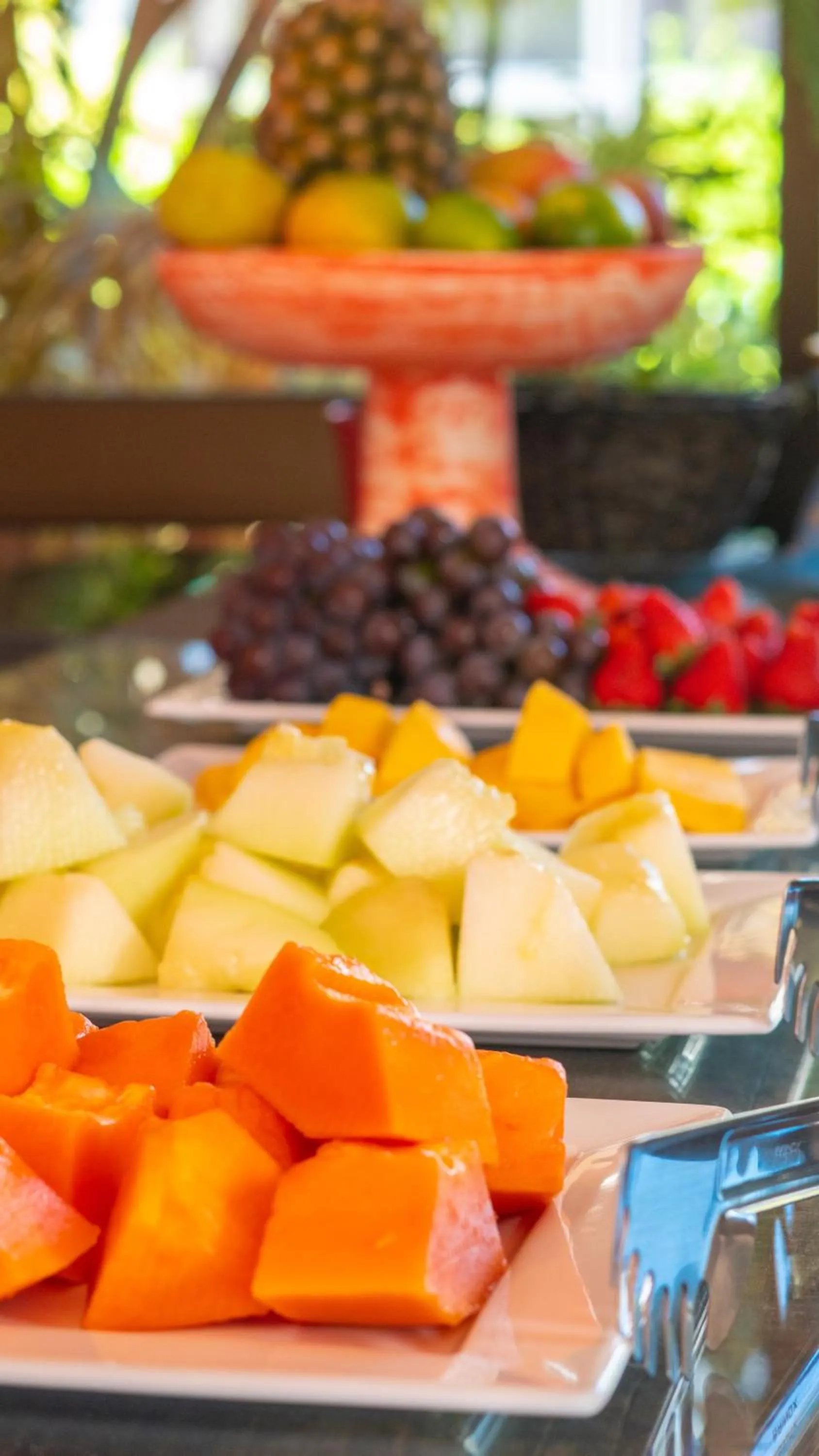 Pousada Rosa Tropicalia