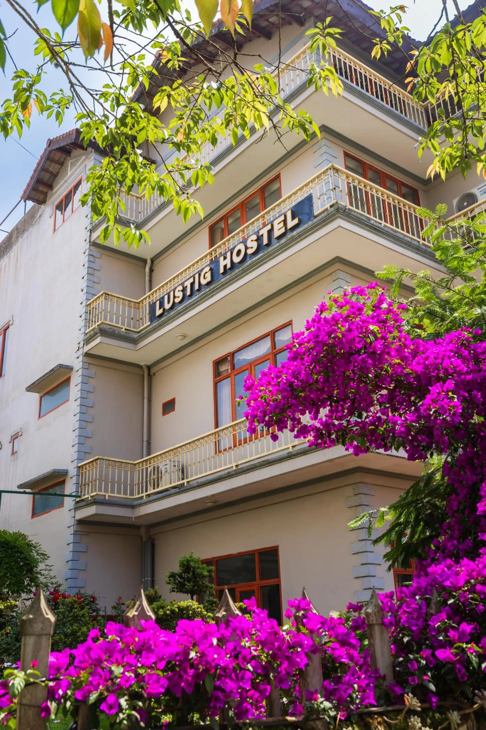 Property building in Lustig Hostel