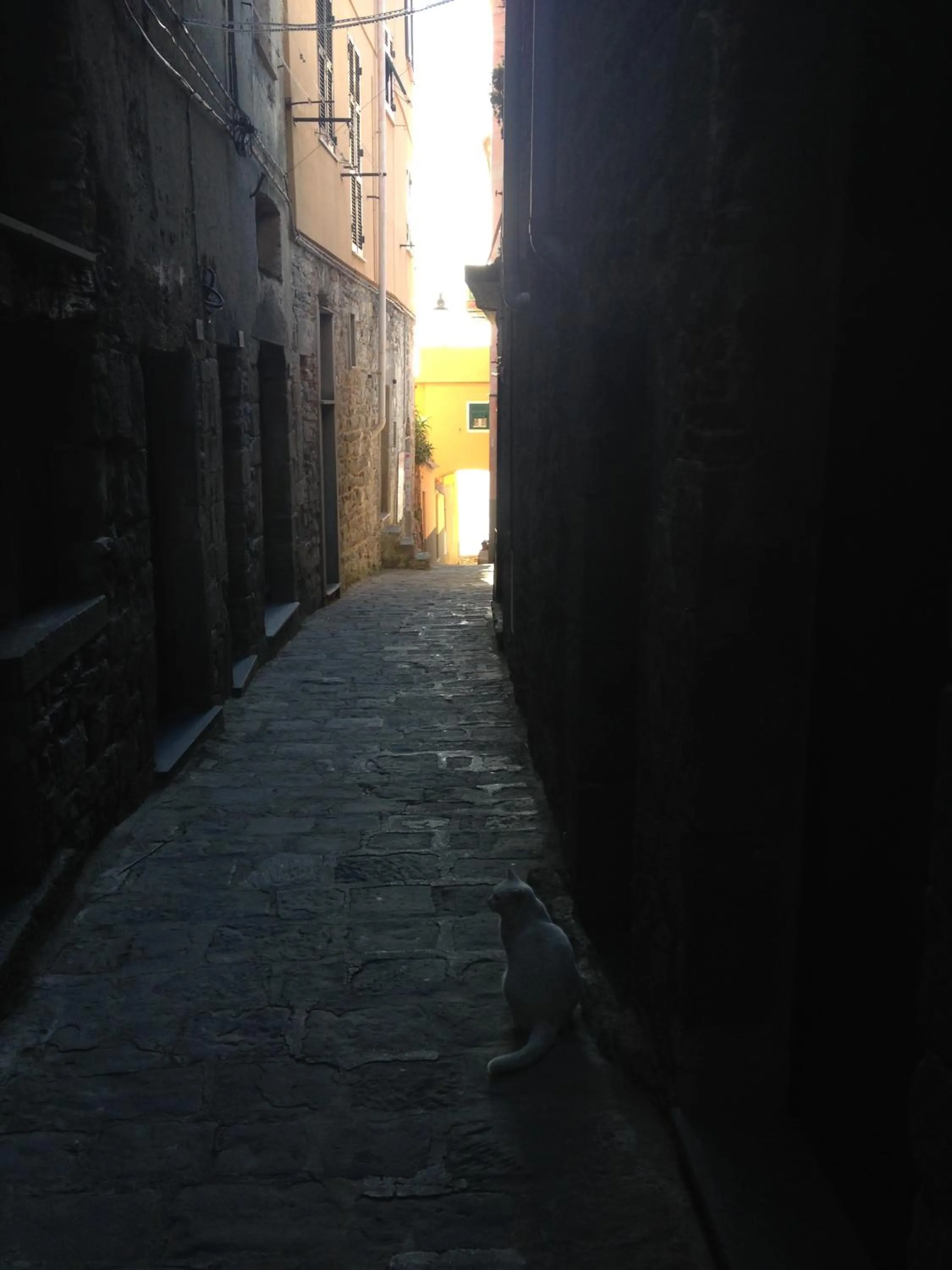 Property building in il Magàn - Cinque Terre