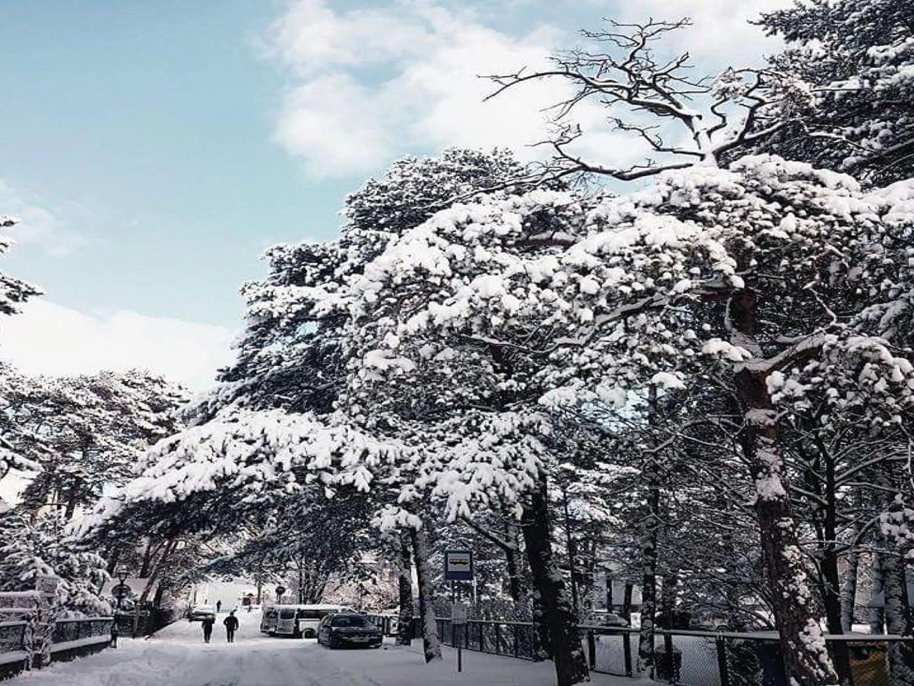Neighbourhood in Plac Rybaków Inn