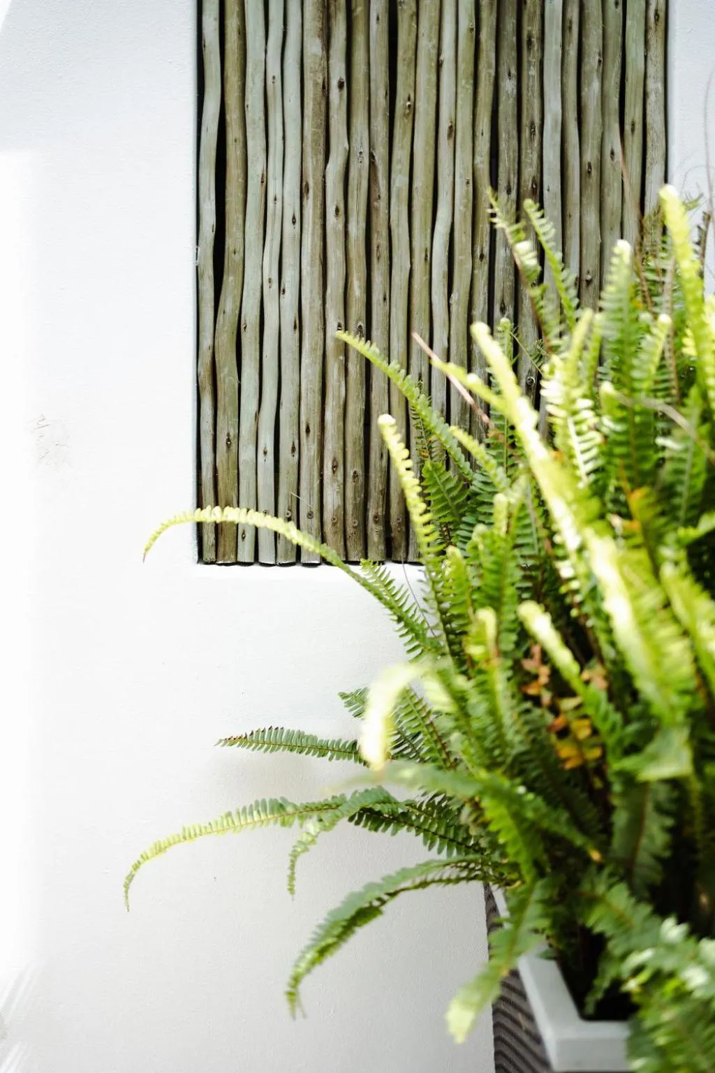 Radium Hall Guest House