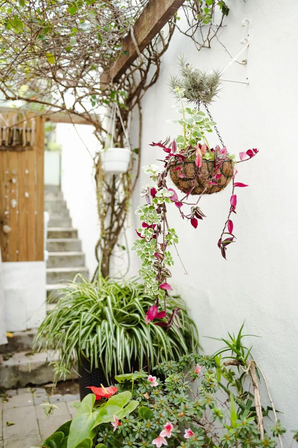 Radium Hall Guest House