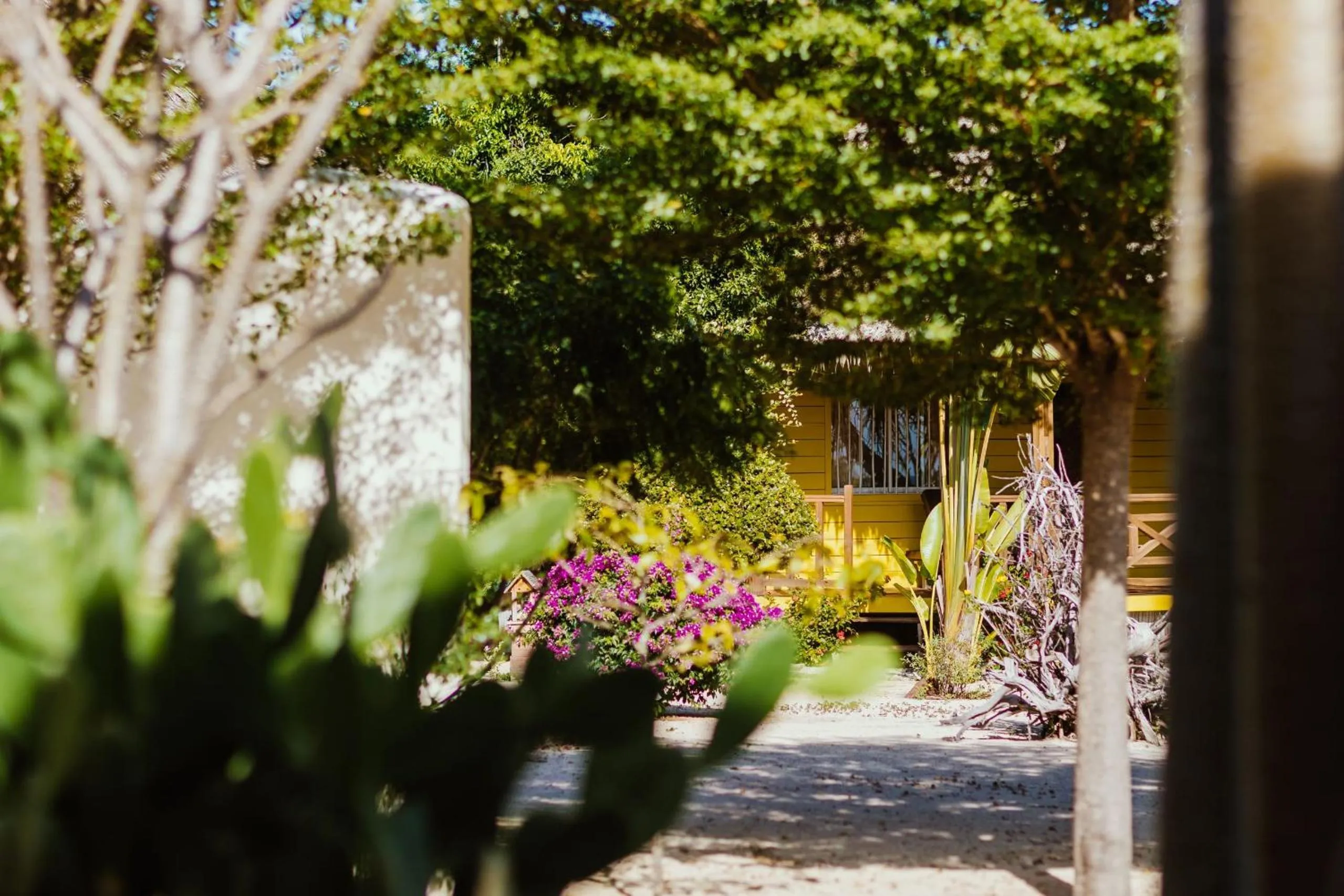 Garden in Antsanitia Resort