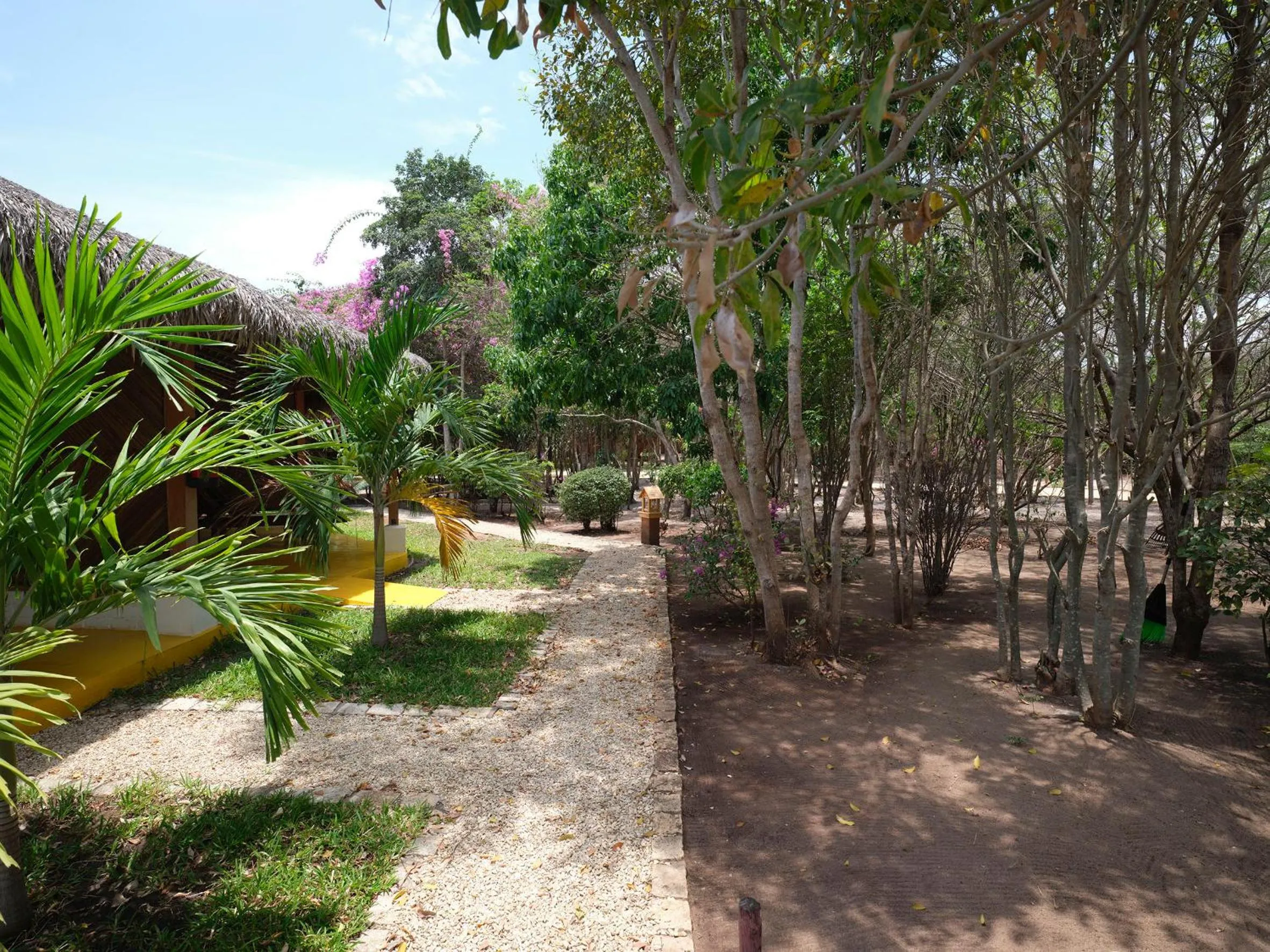 Garden in Antsanitia Resort