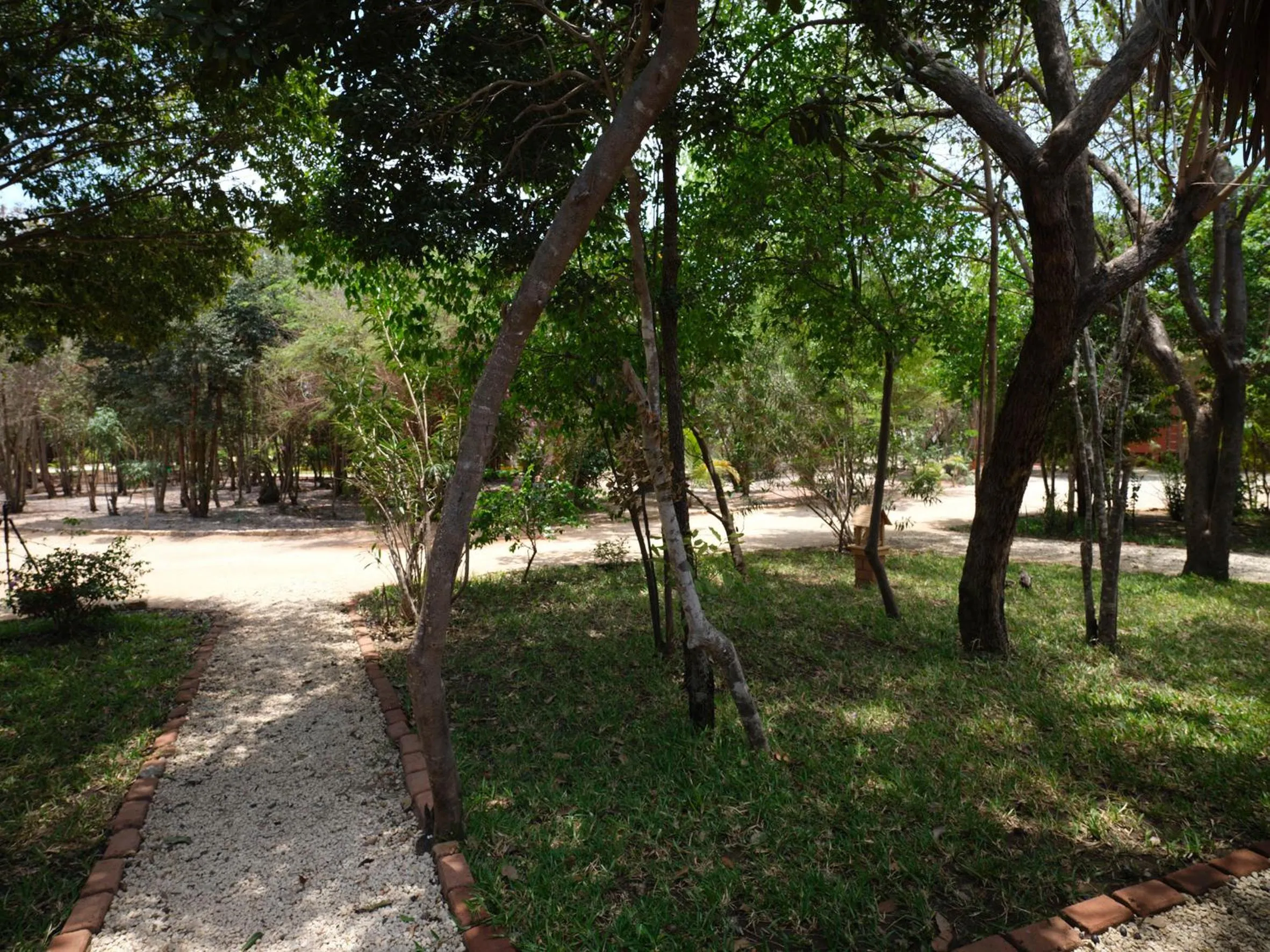 Garden in Antsanitia Resort