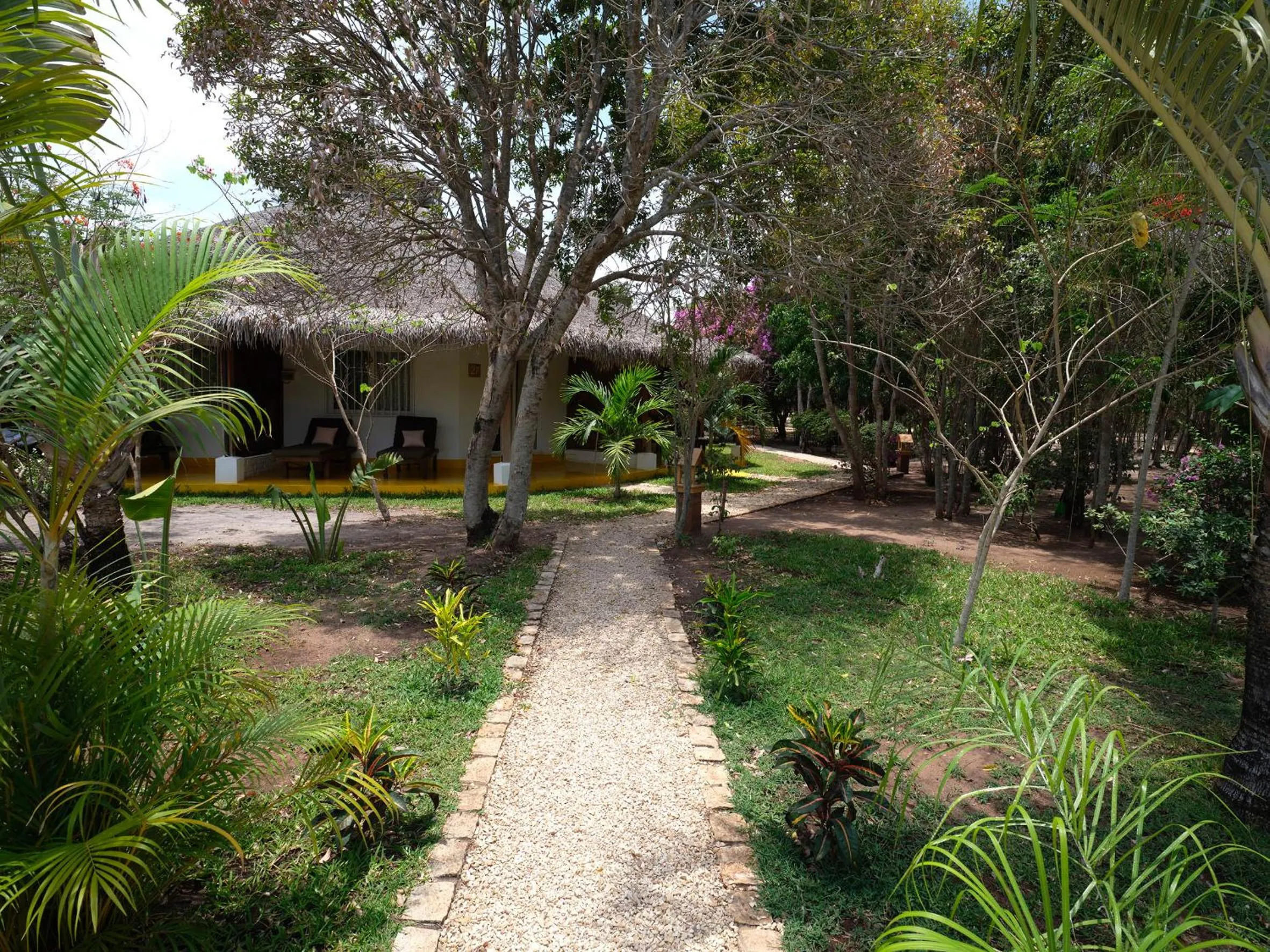 Garden in Antsanitia Resort