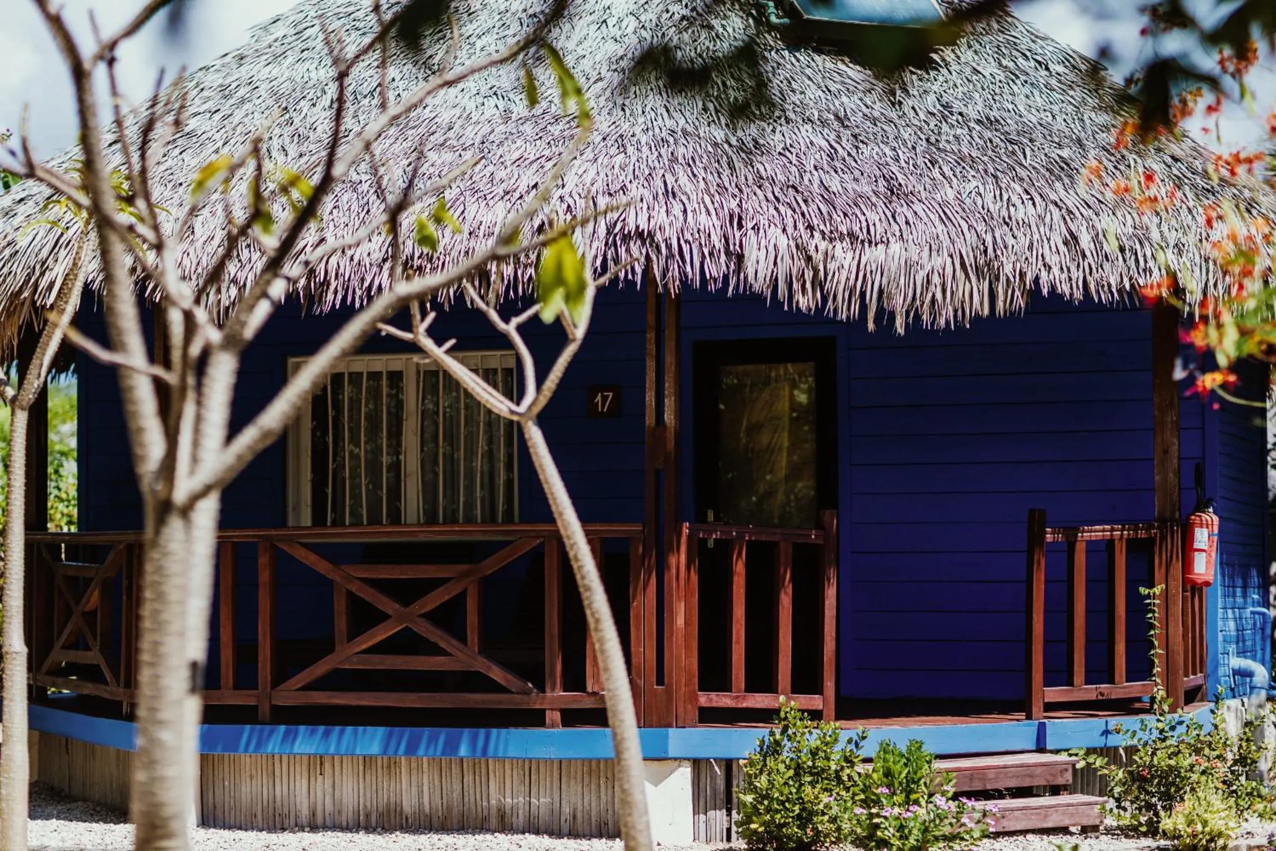 Photo of the whole room in Antsanitia Resort