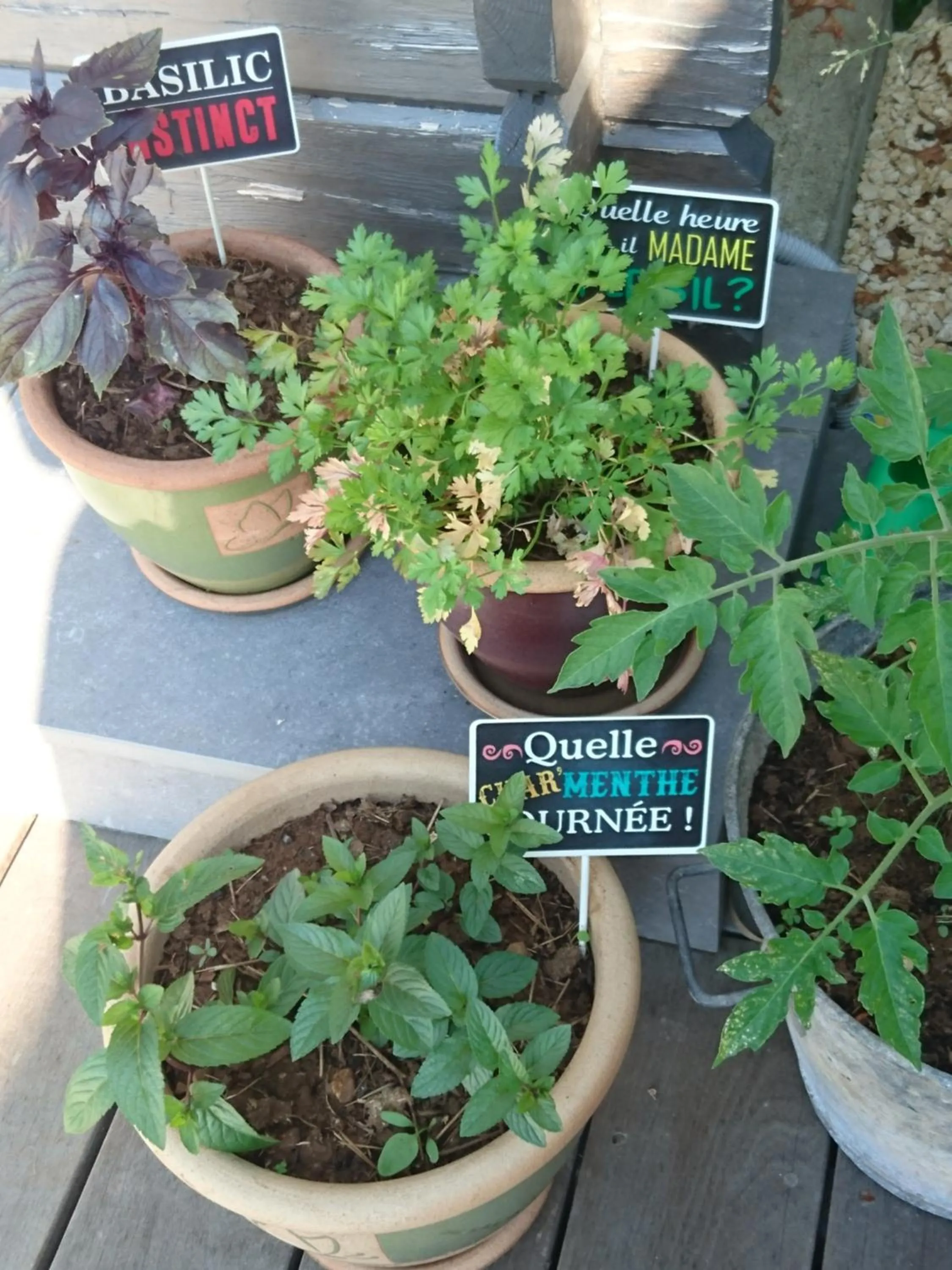 Chambre d'Hôtes Les Bruyères