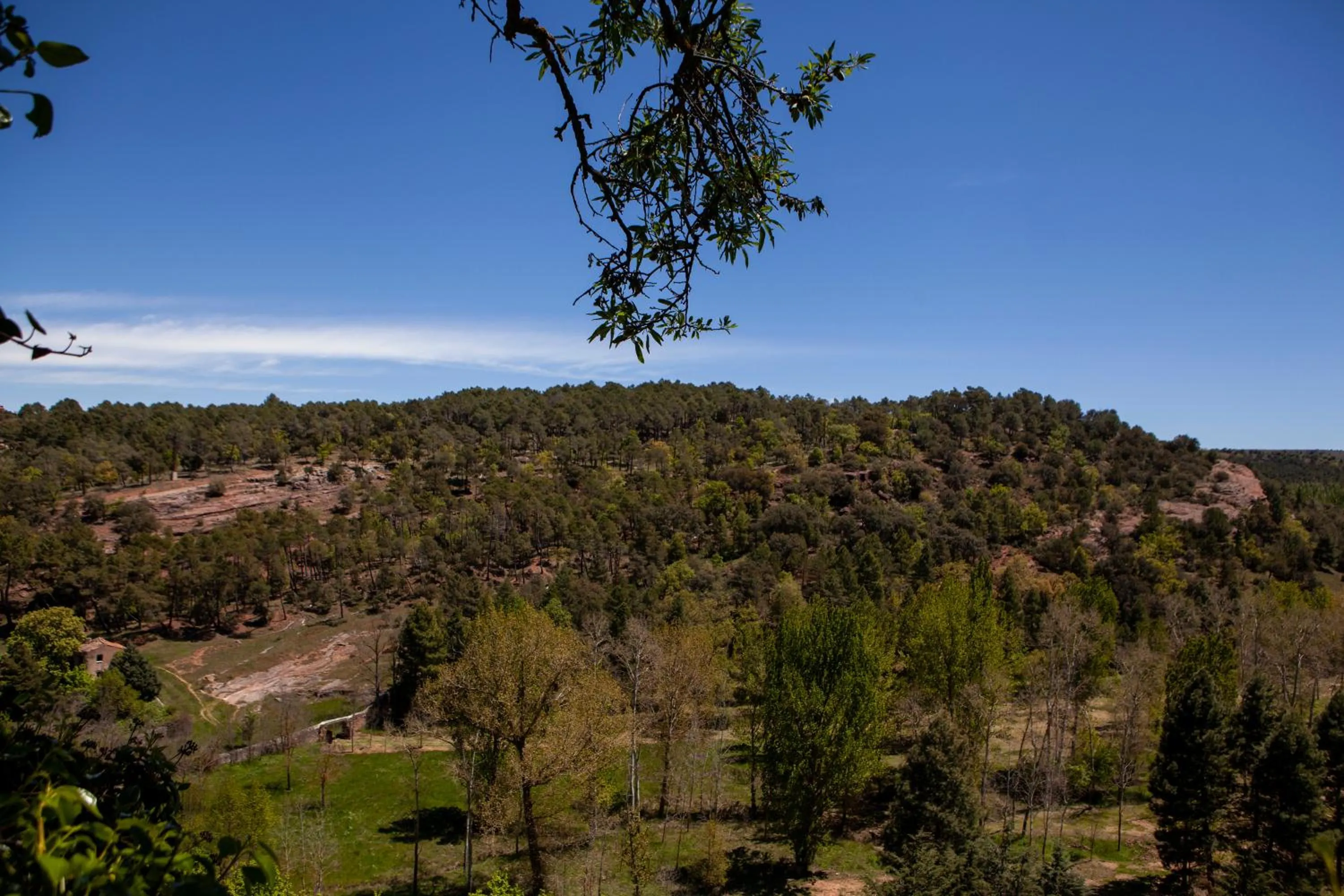 View (from property/room) in El Albergue de Sigüenza