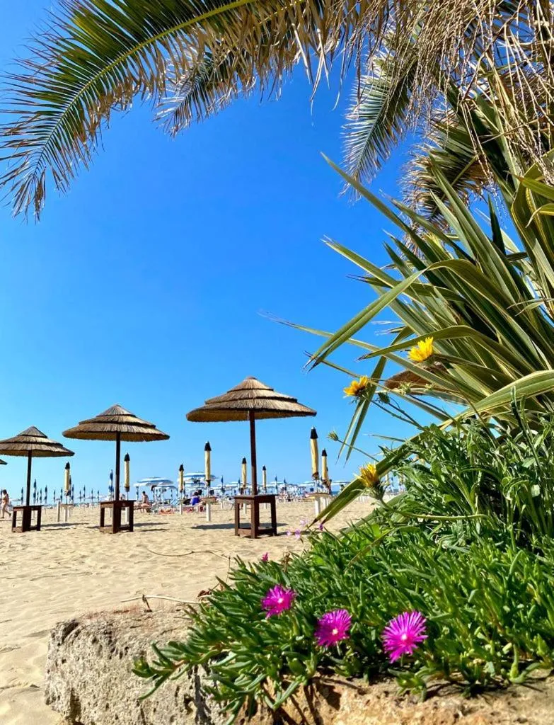 Hotel Miramare Et De La Ville