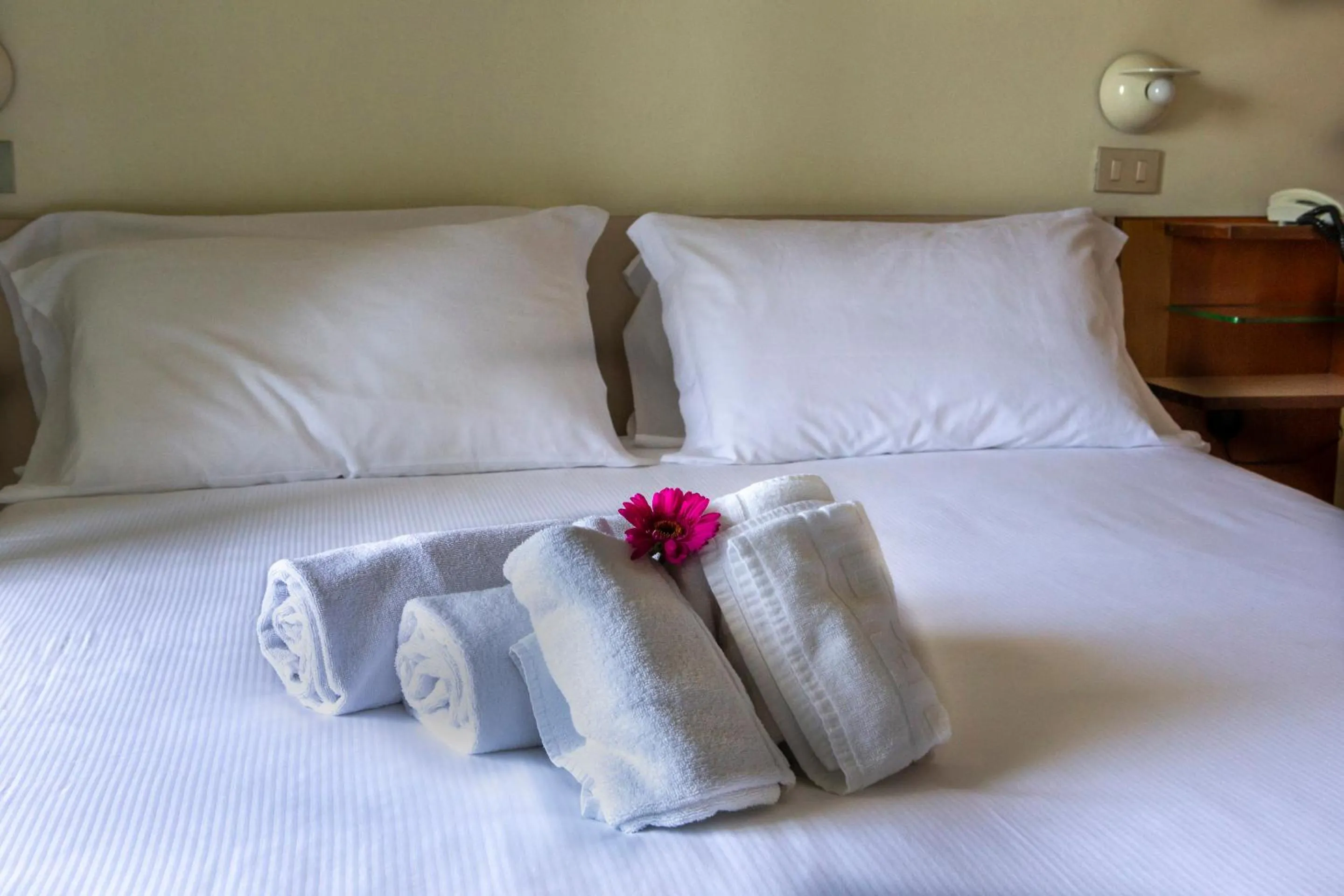 Bed in Hotel Miramare Et De La Ville