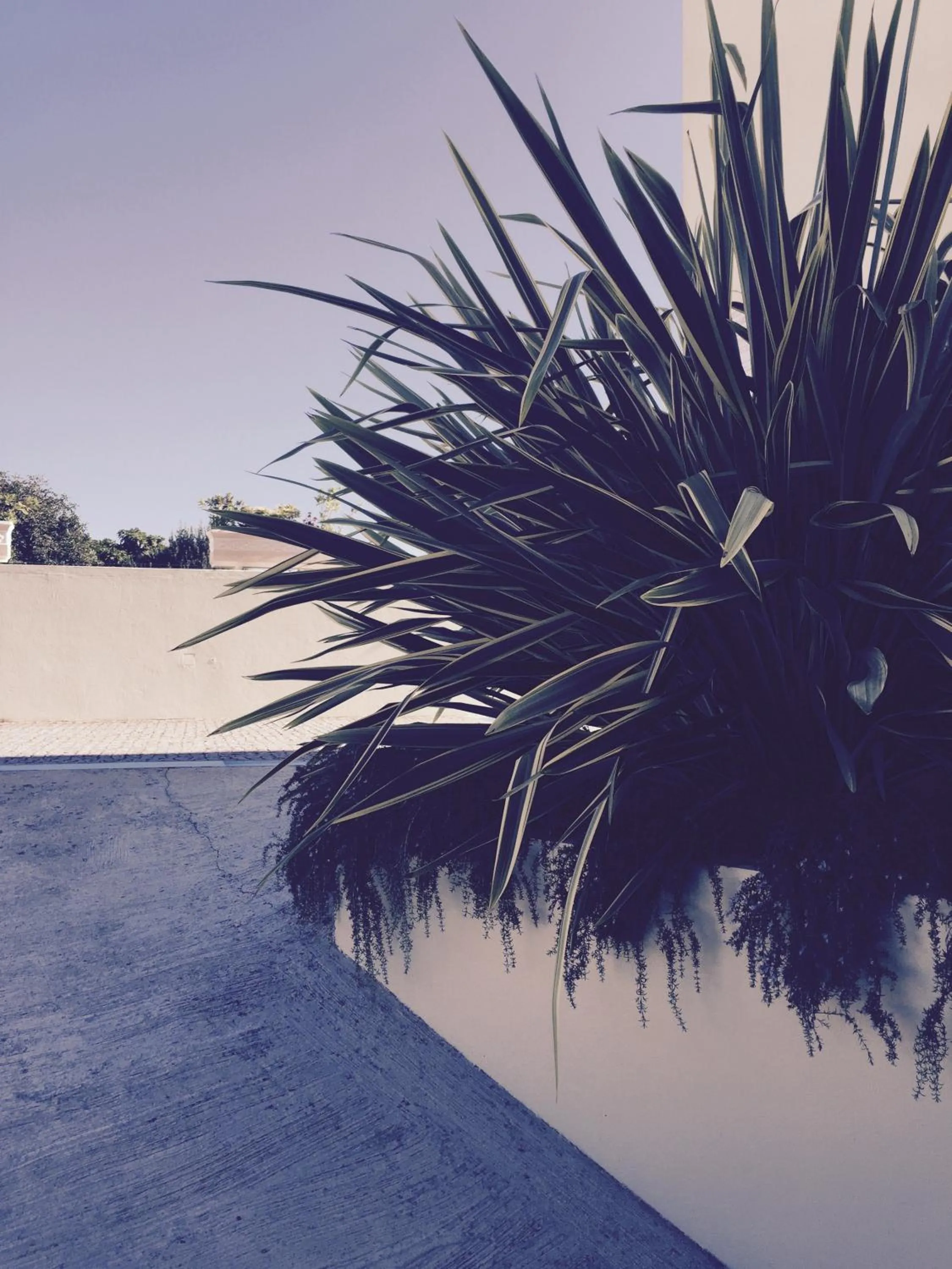 Day in Hotel Aeroporto