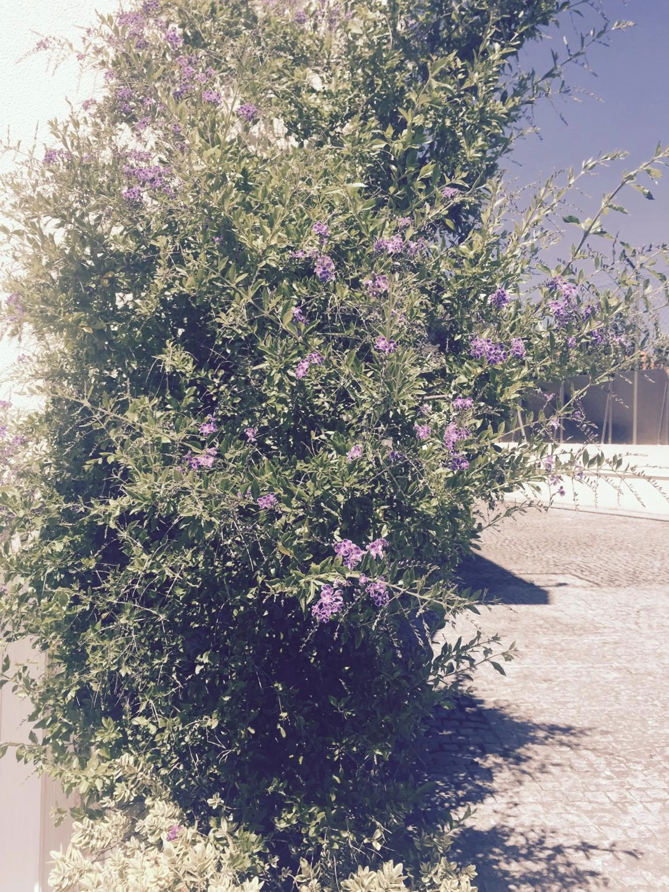 Day in Hotel Aeroporto