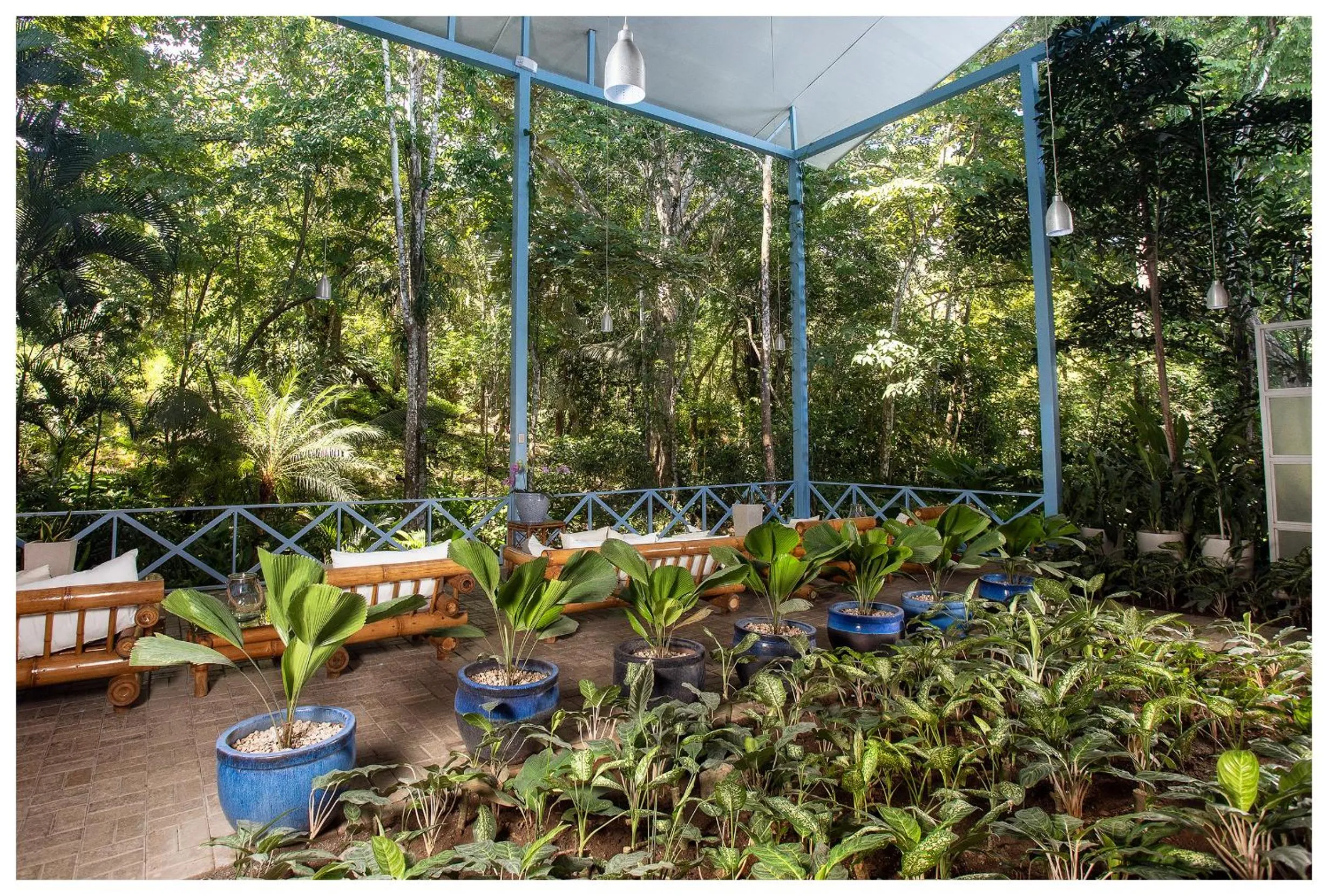 Garden in Hotel Plaza Yara