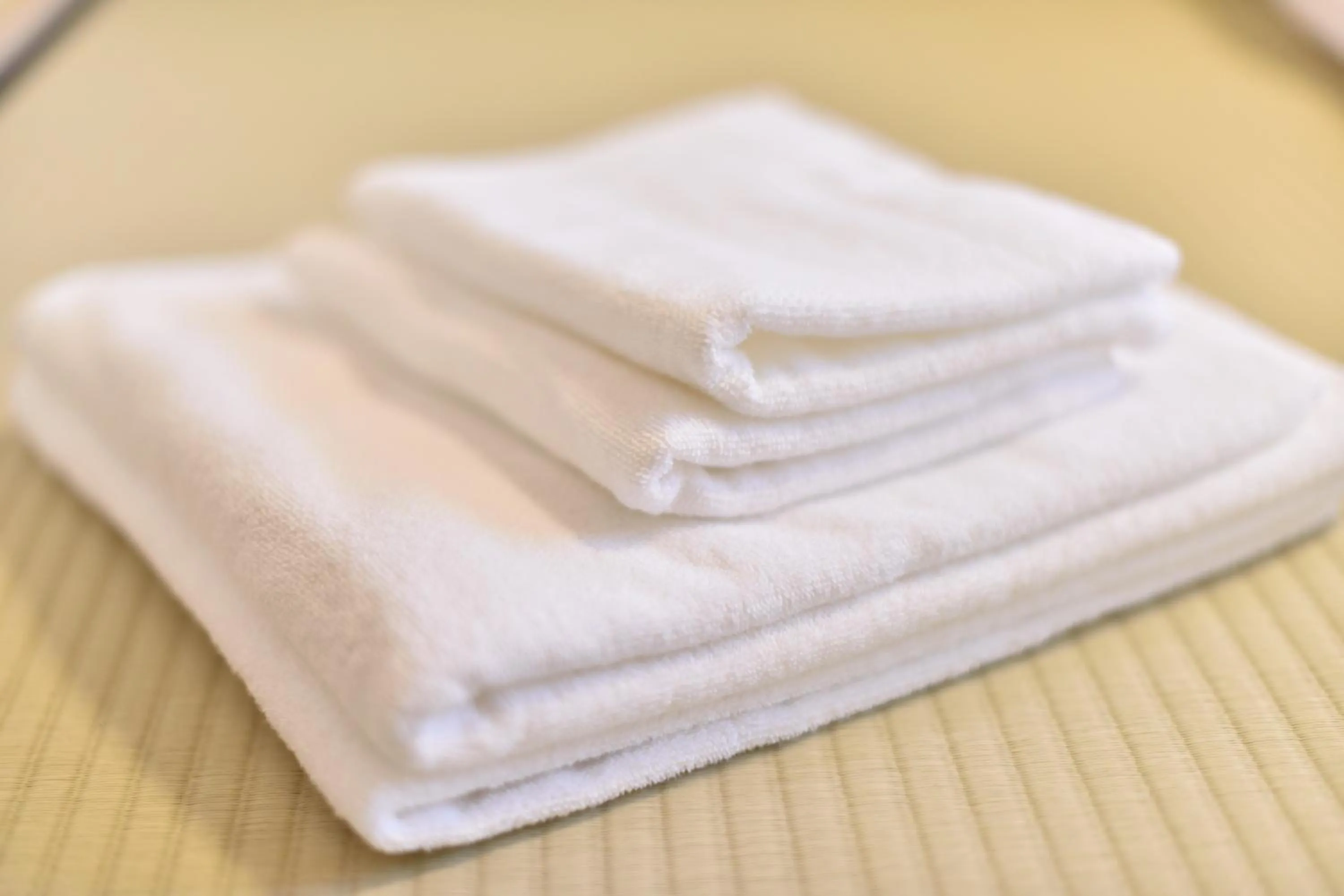 Area and facilities in ShukuShuku