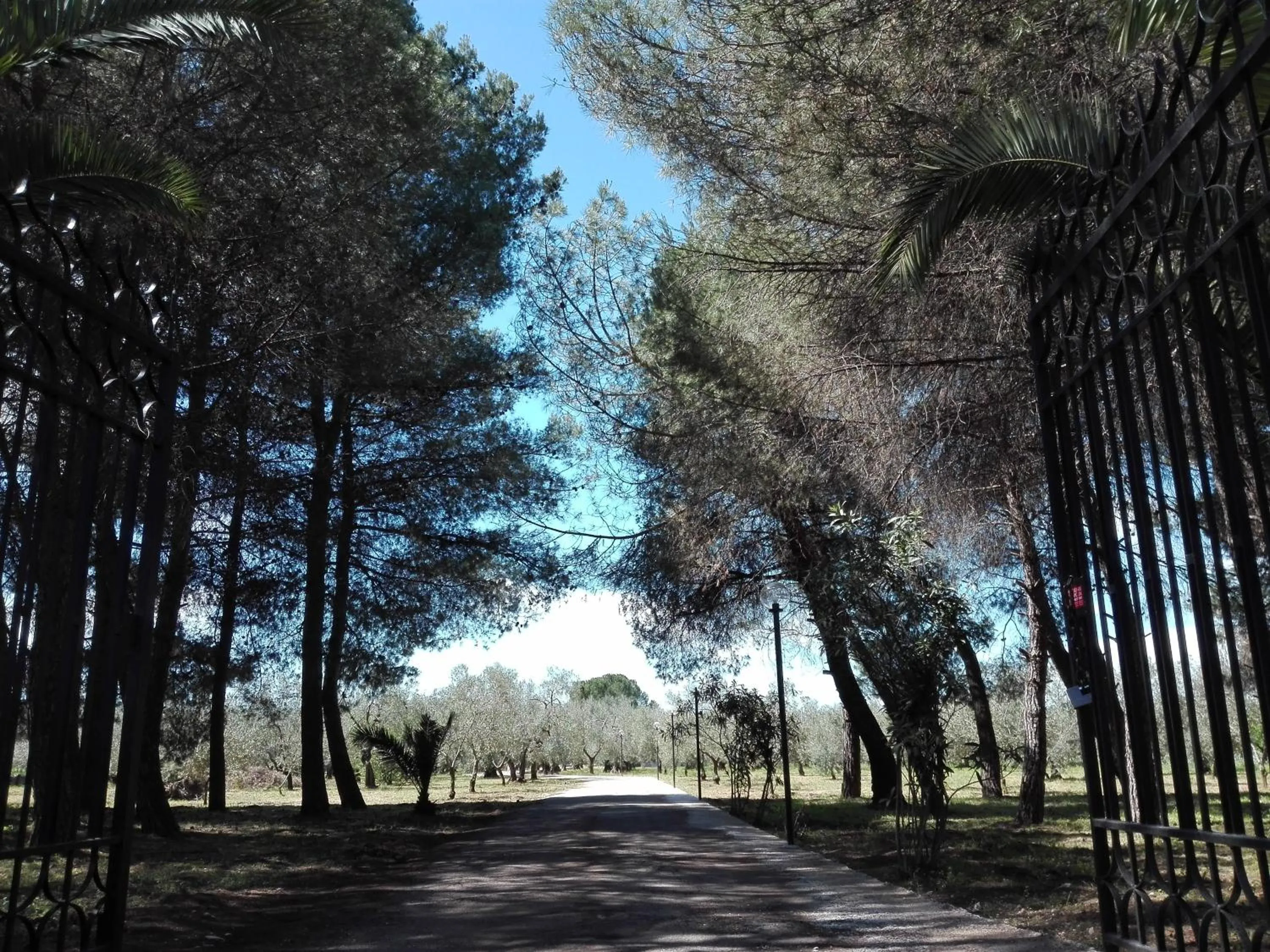 Facade/entrance in Dedo B&B