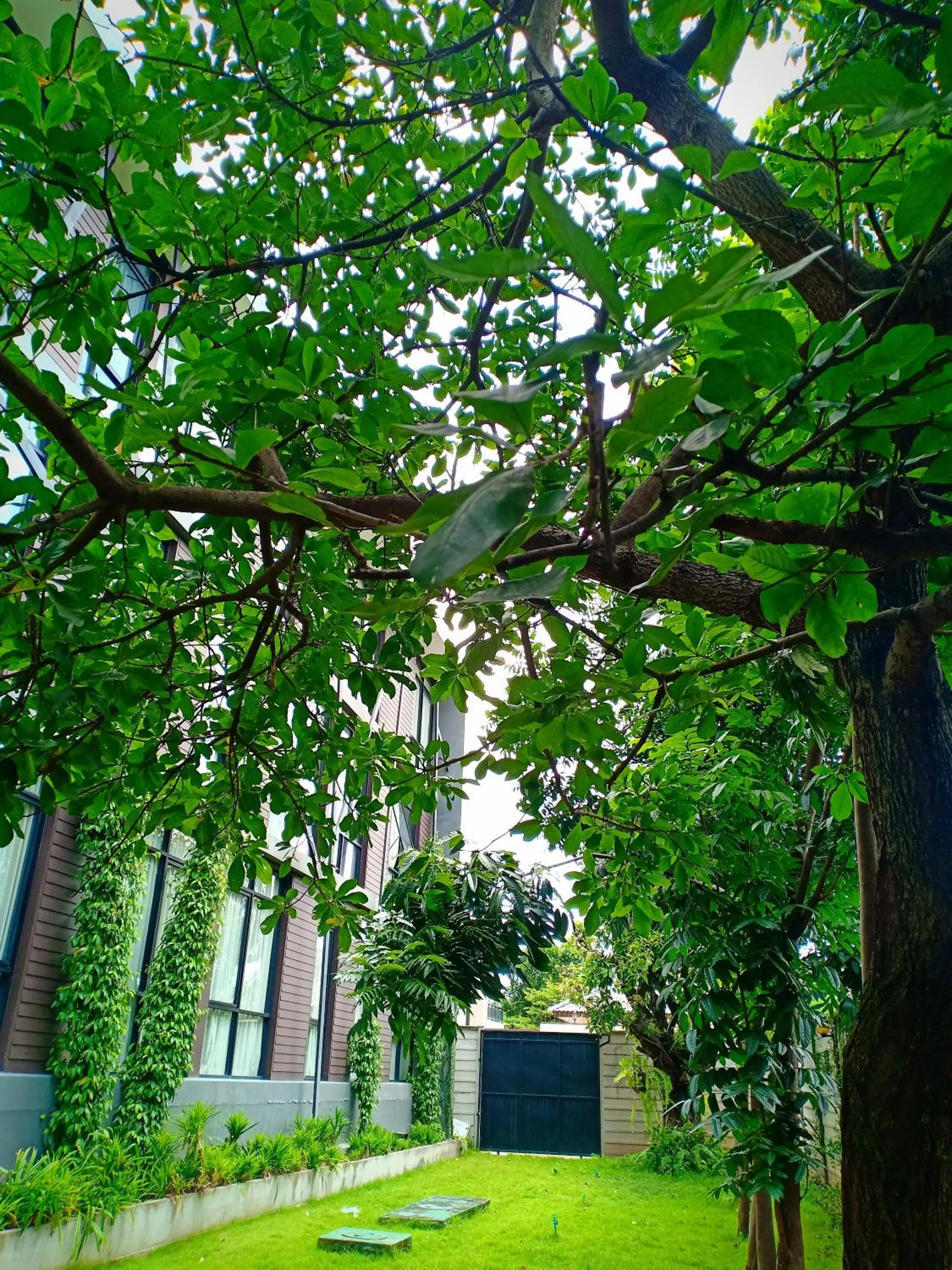 Property building in Vismaya Suvarnabhumi Hotel