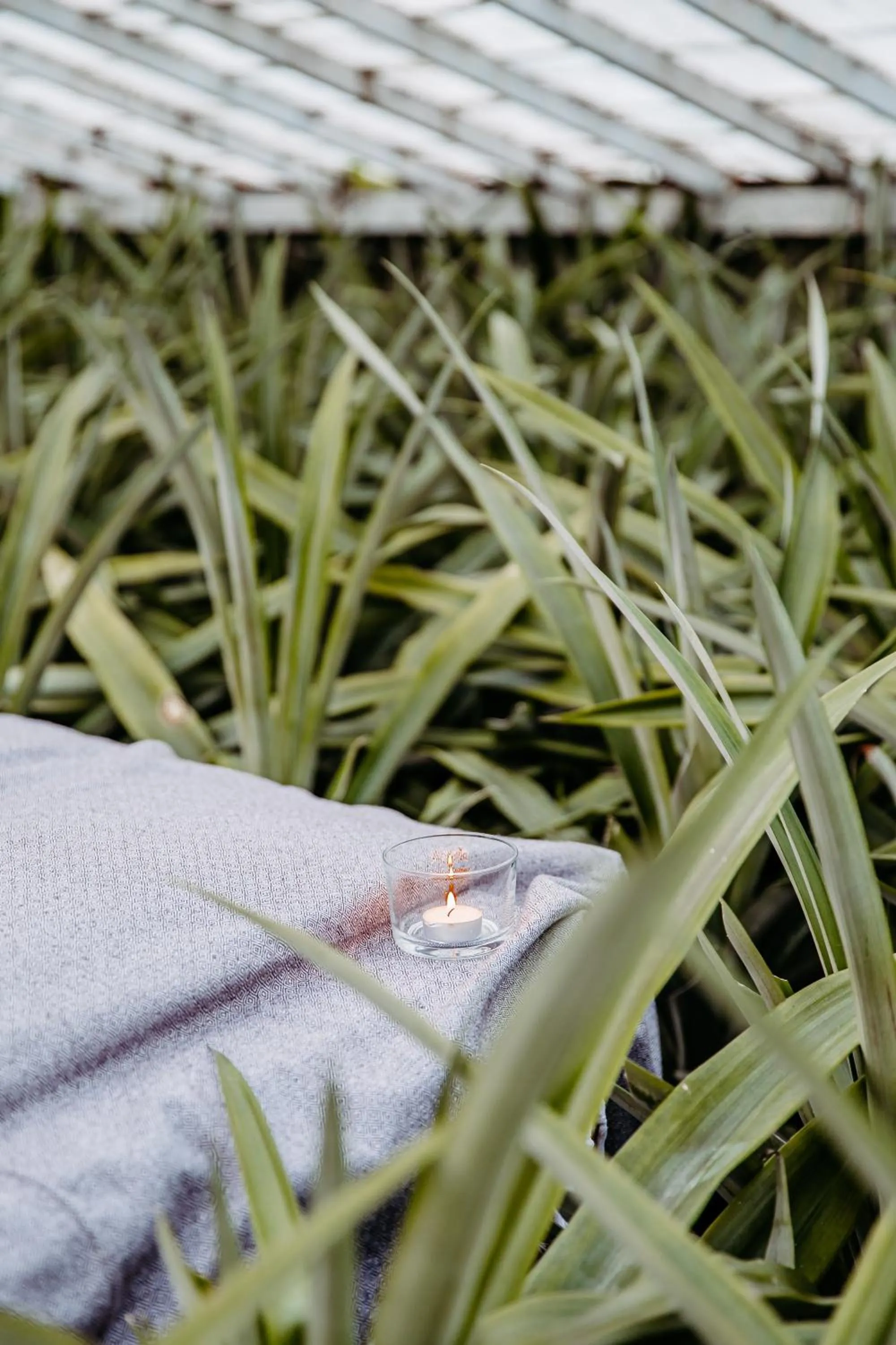 Natural landscape in Herdade do Ananás
