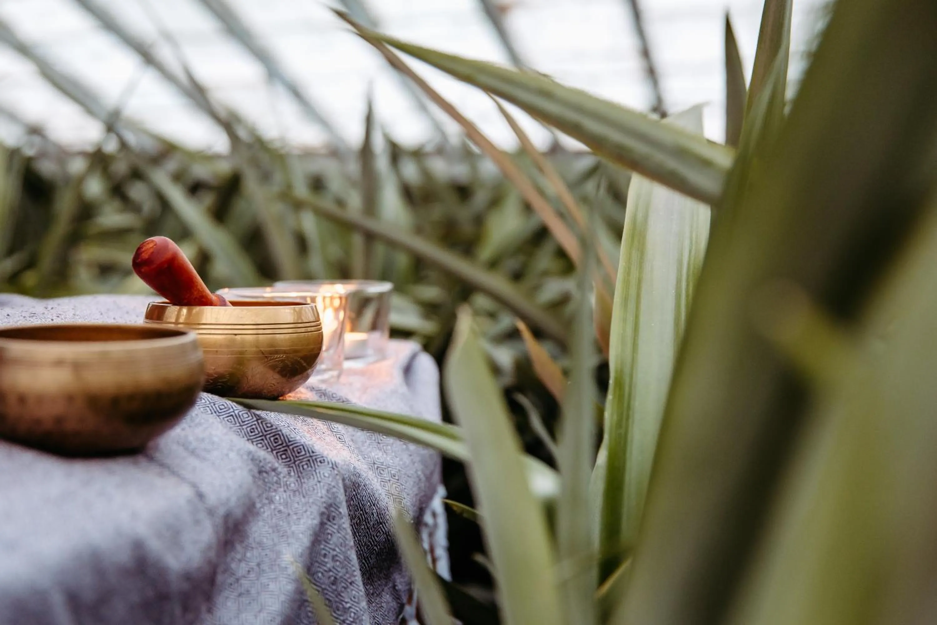 Natural landscape in Herdade do Ananás