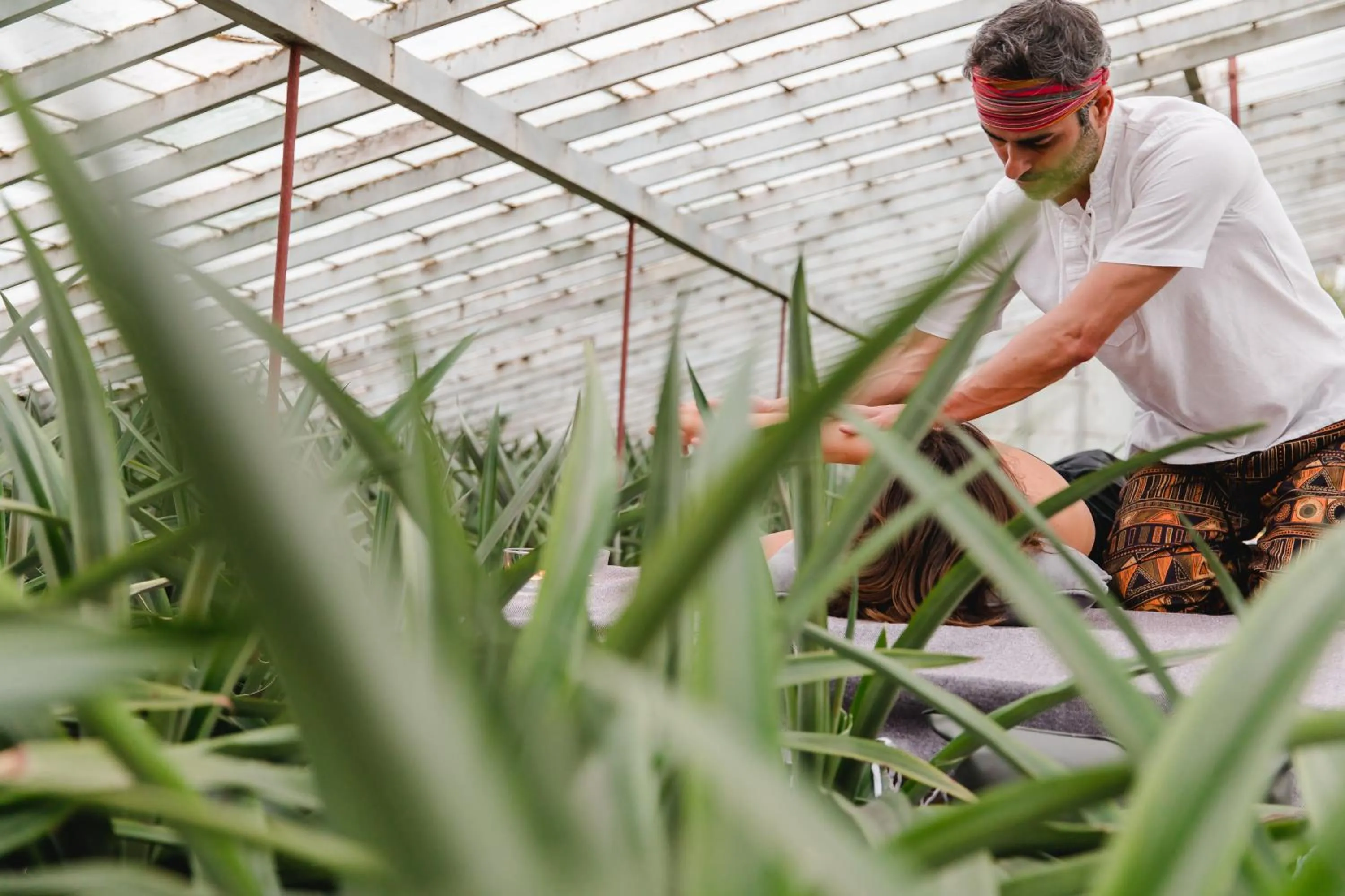 Natural landscape in Herdade do Ananás
