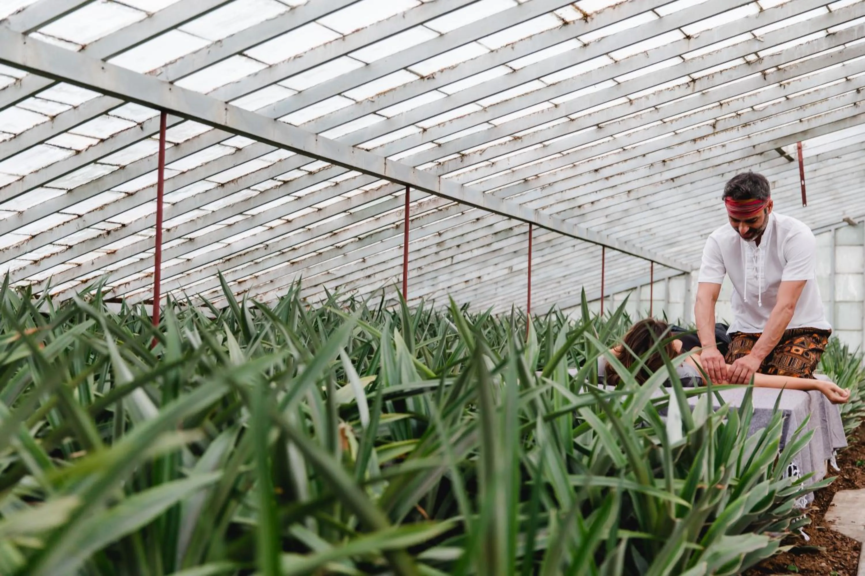 Natural landscape in Herdade do Ananás