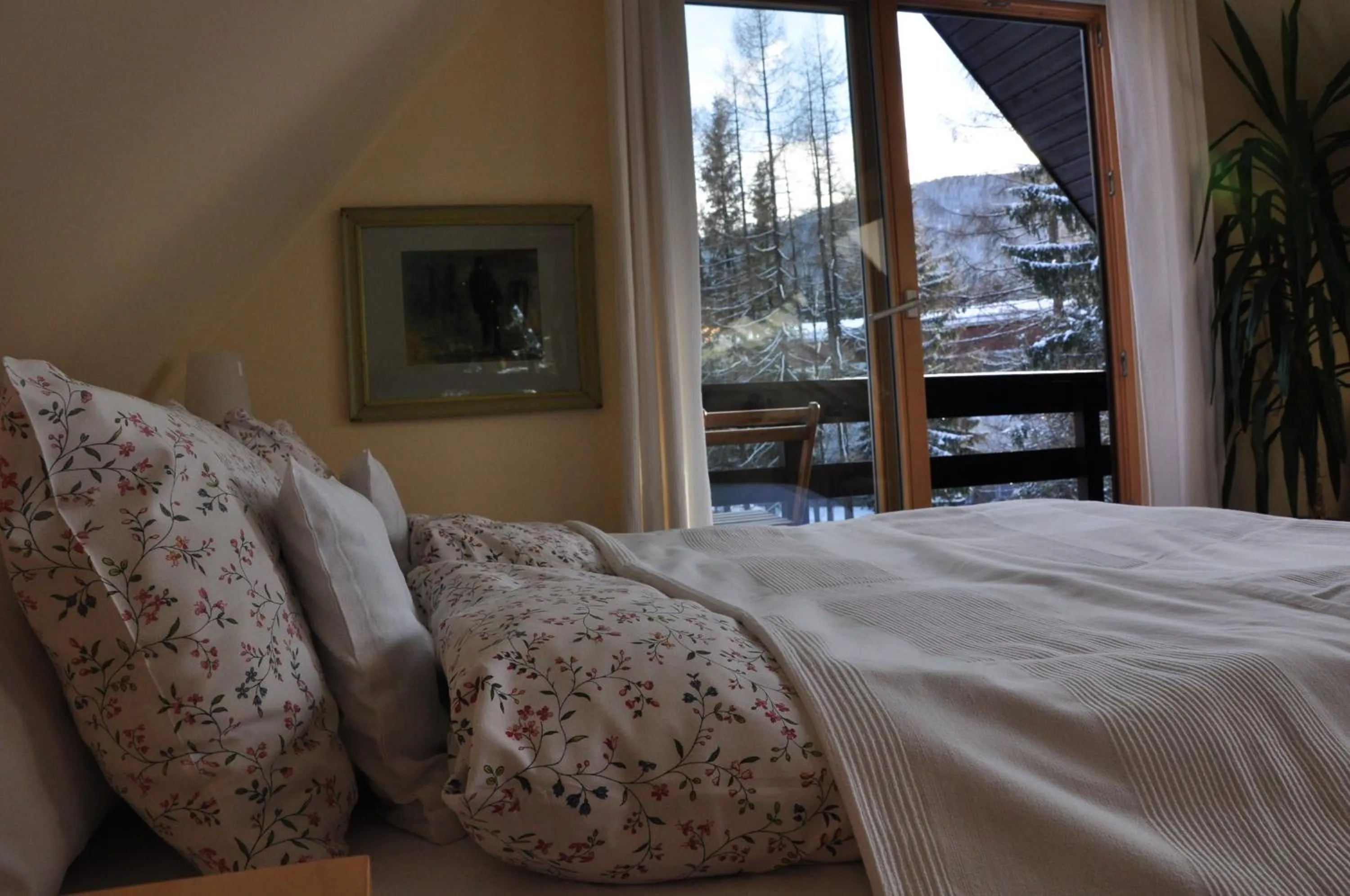 Bed in Willa Marma B&B