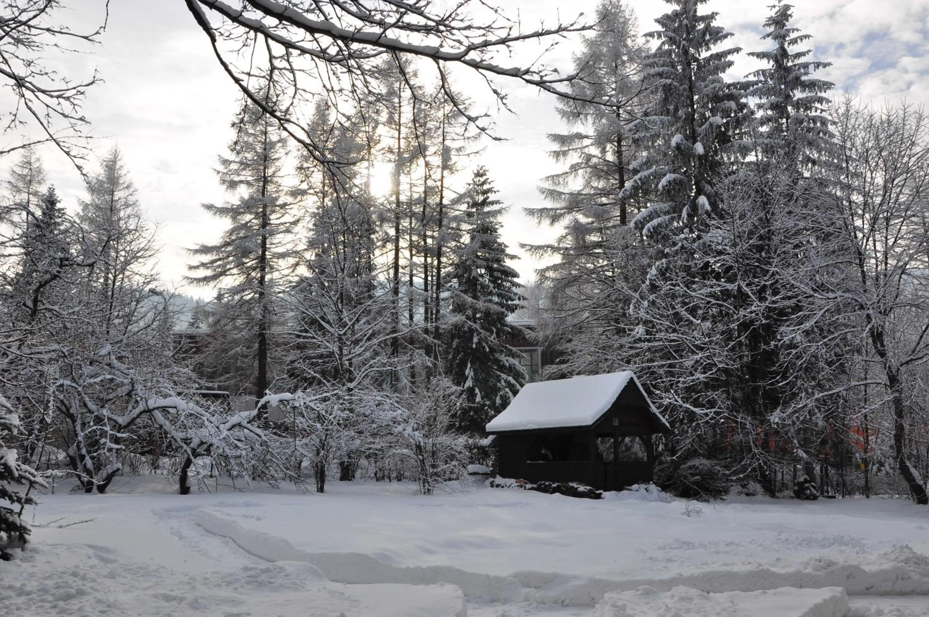 Area and facilities in Willa Marma B&B