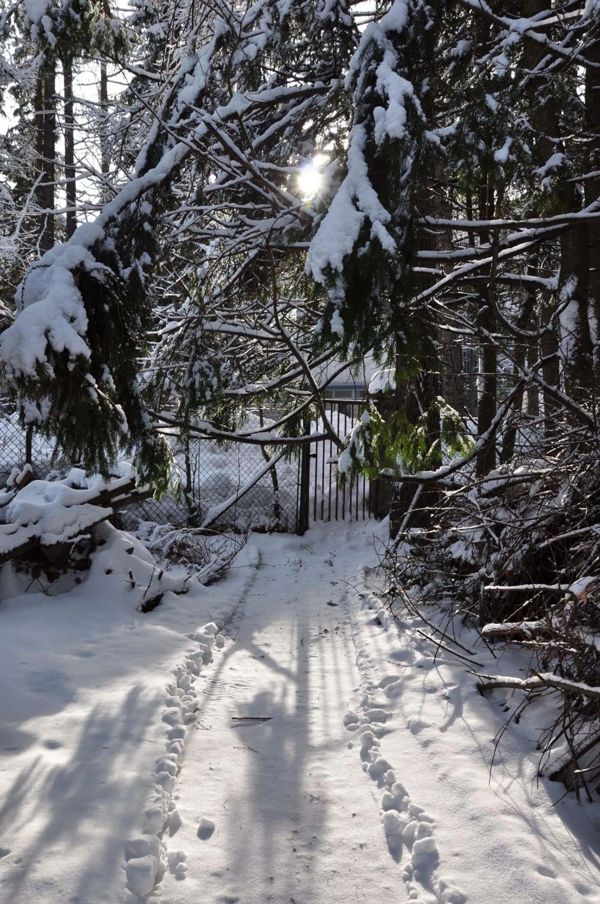 Area and facilities in Willa Marma B&B