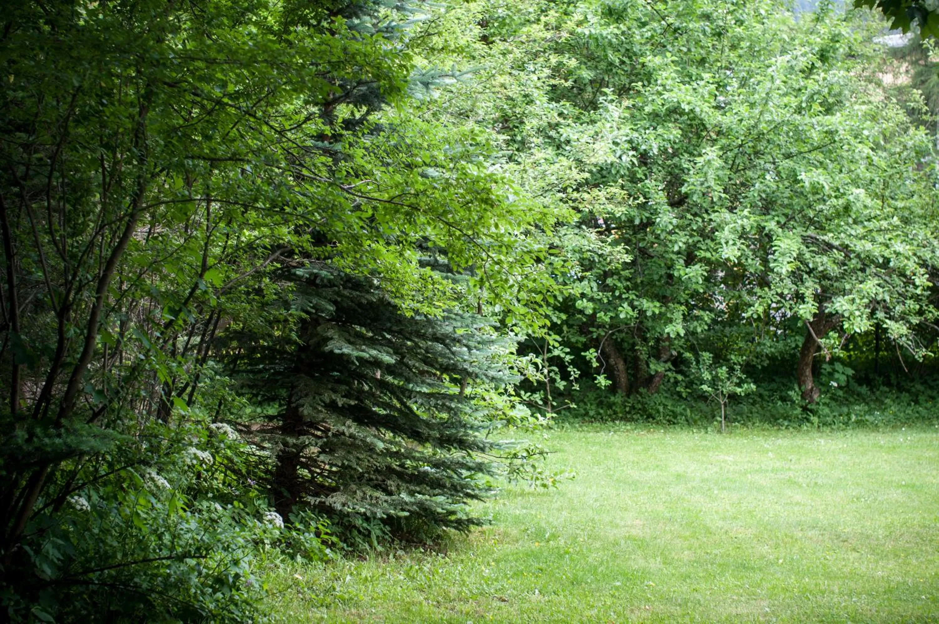 Area and facilities in Willa Marma B&B