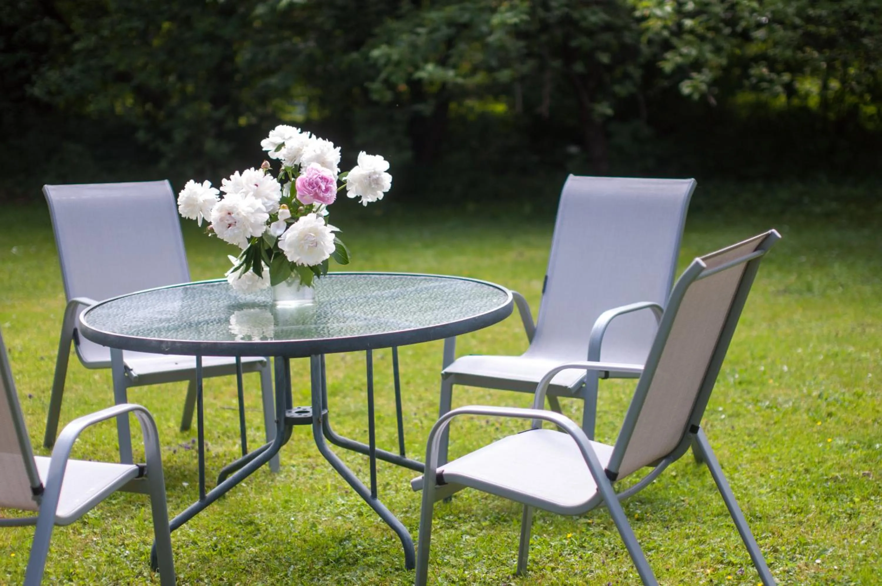 Garden in Willa Marma B&B