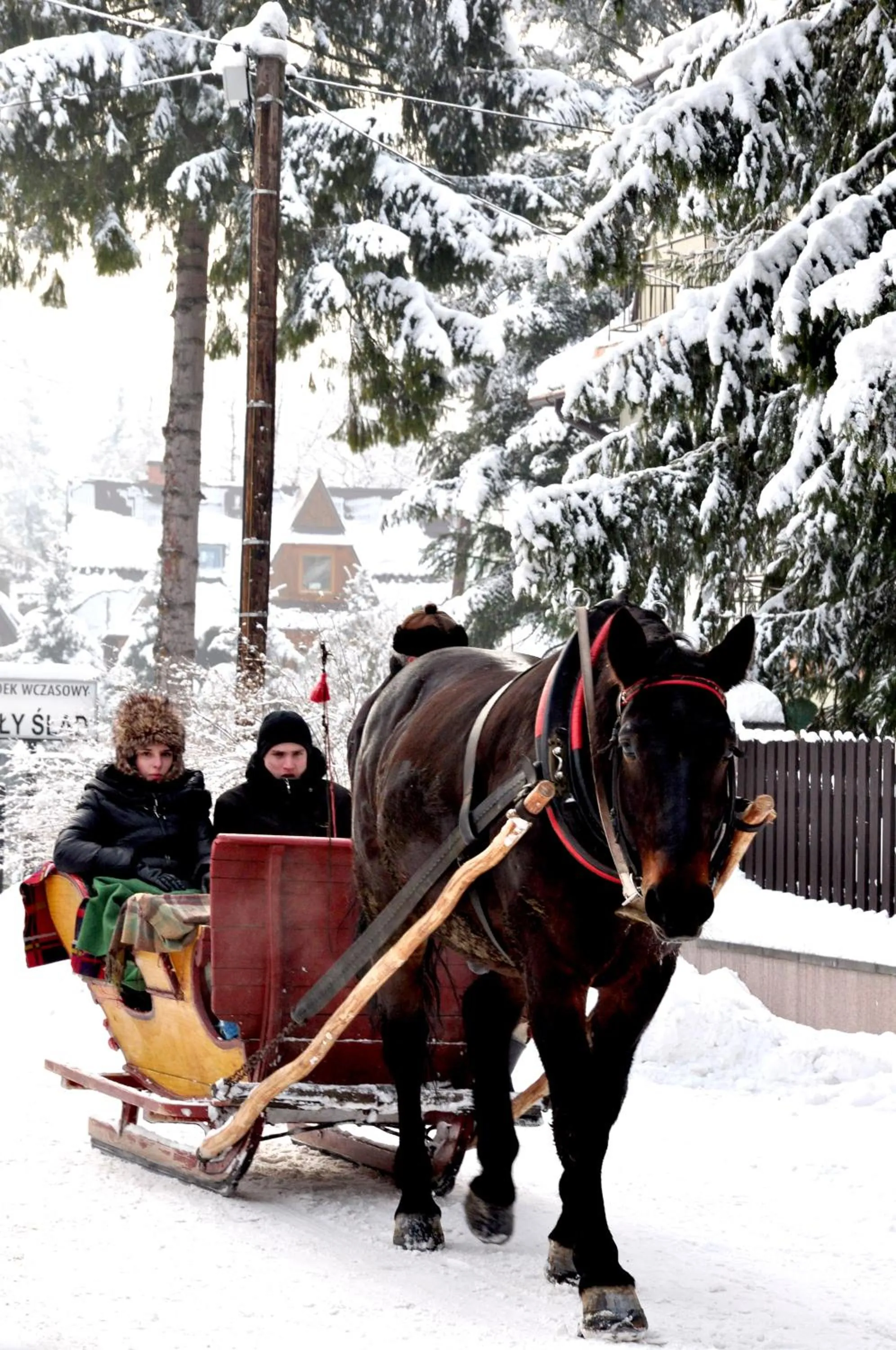 People in Willa Marma B&B