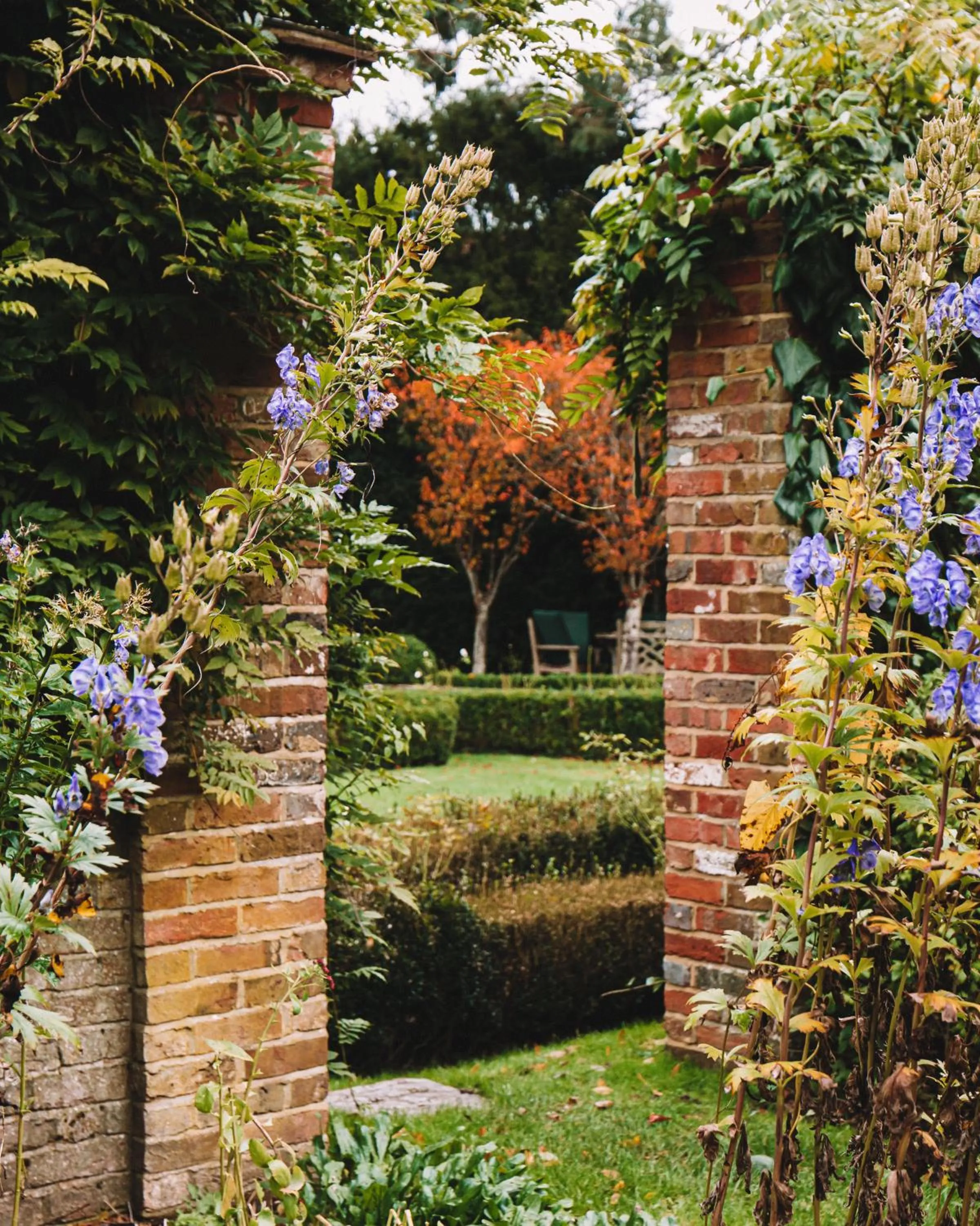 Garden in Langshott Manor - Luxury Hotel Gatwick