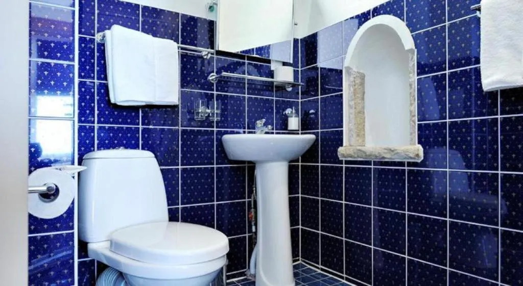 Toilet in Gotthard Residents