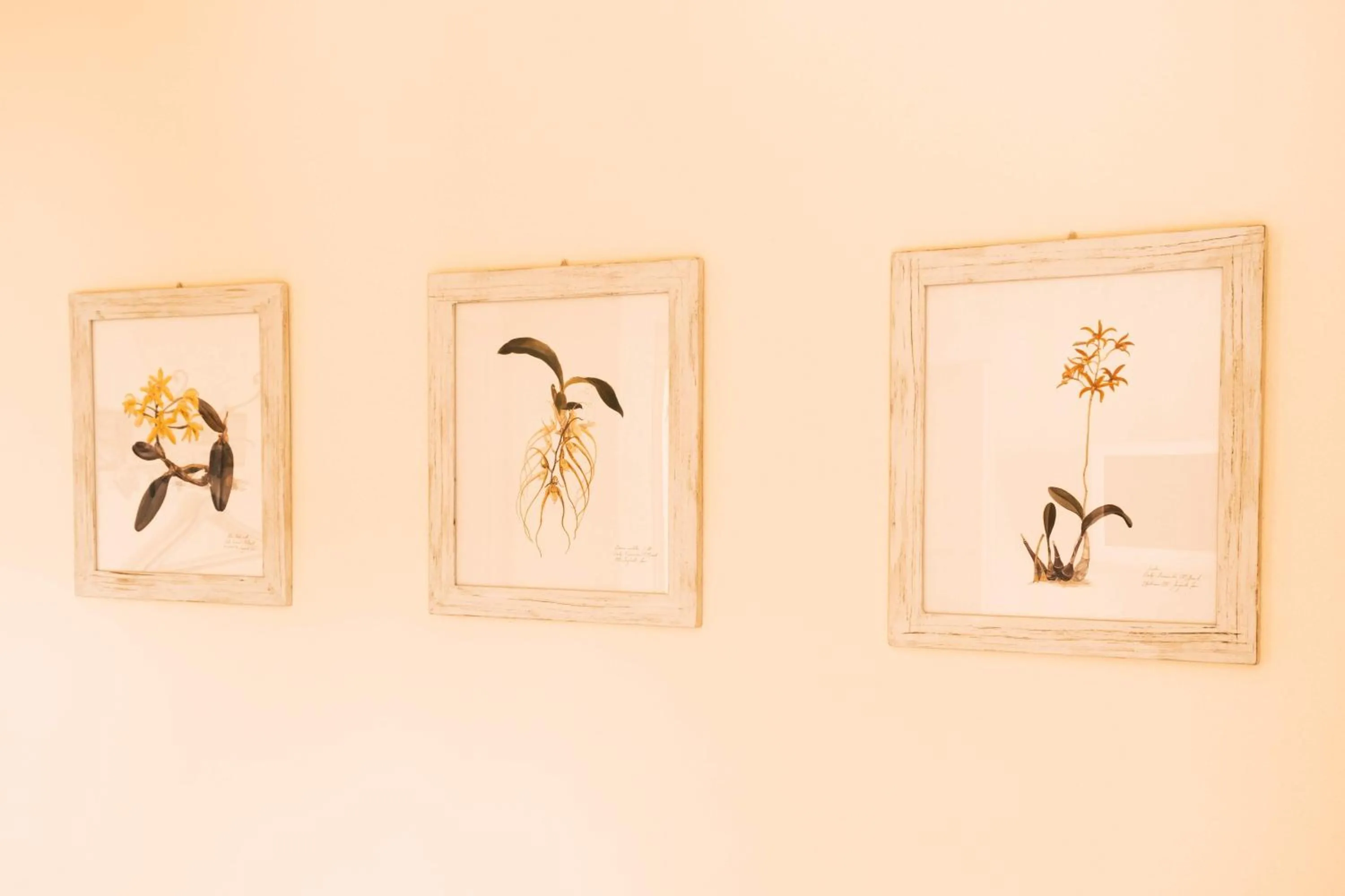 Decorative detail in B&B Casa Dolce Casa