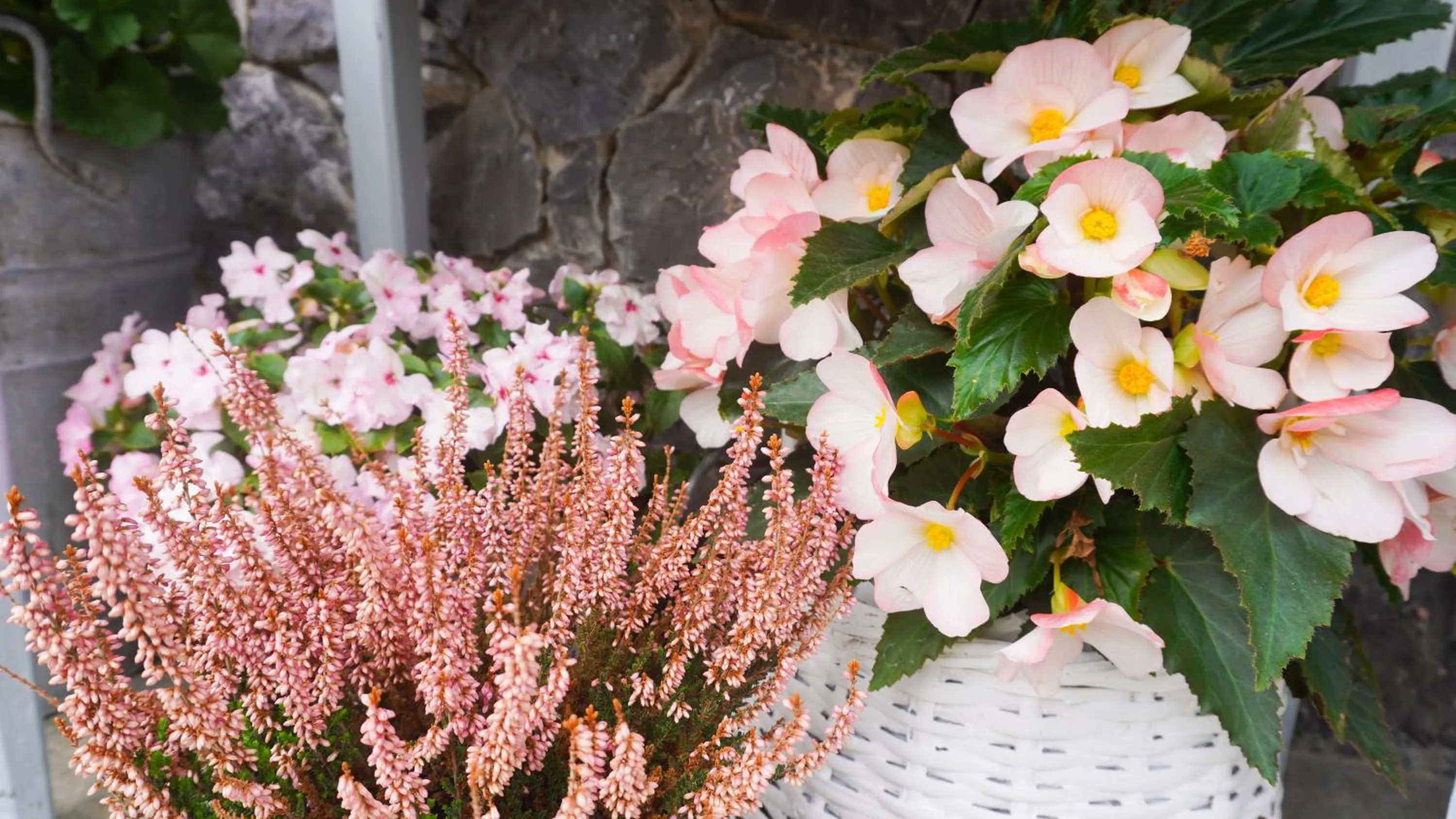 Decorative detail in B&B Casa Dolce Casa