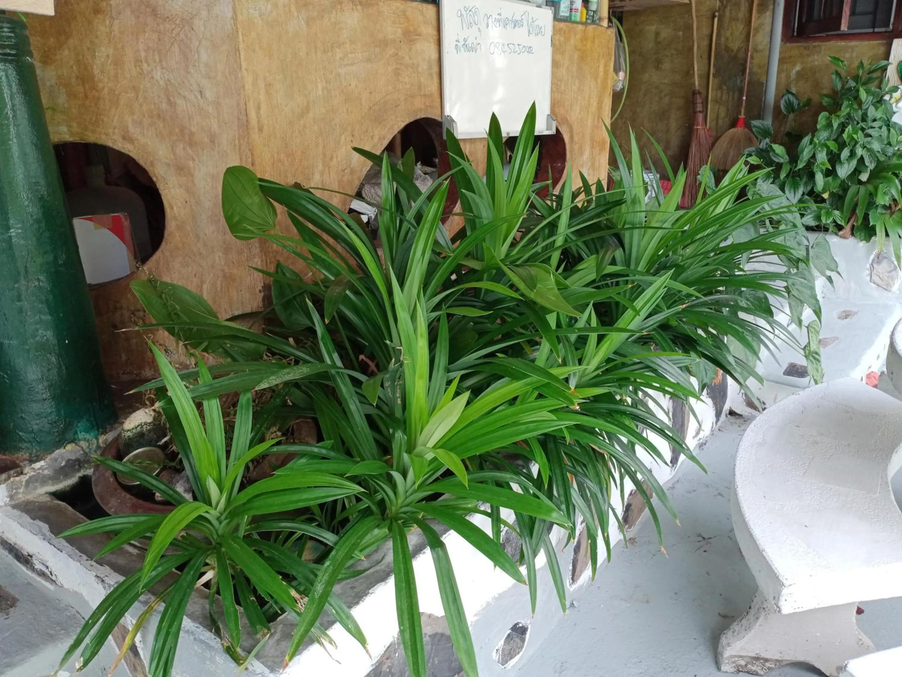 Day in Comon Bungalow HaadChaoPhao