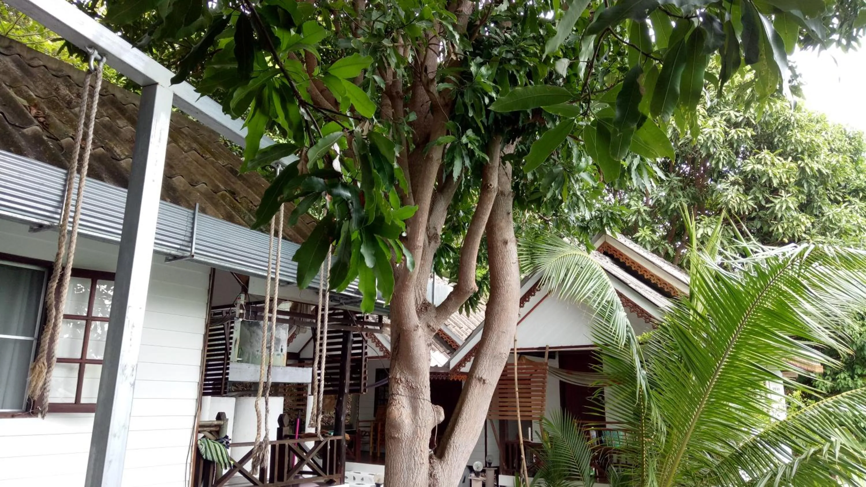 Property building in Comon Bungalow HaadChaoPhao