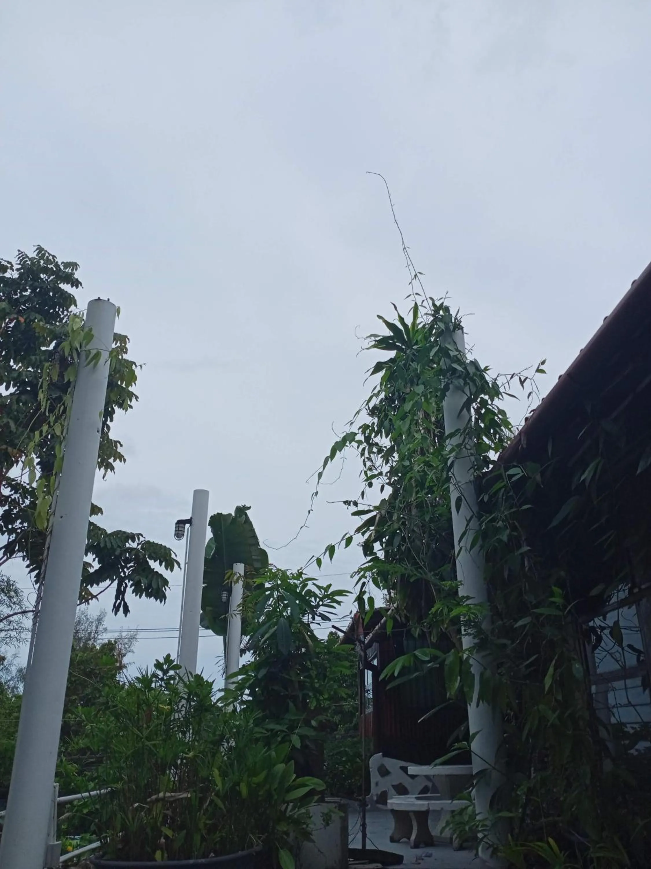 Comon Bungalow HaadChaoPhao