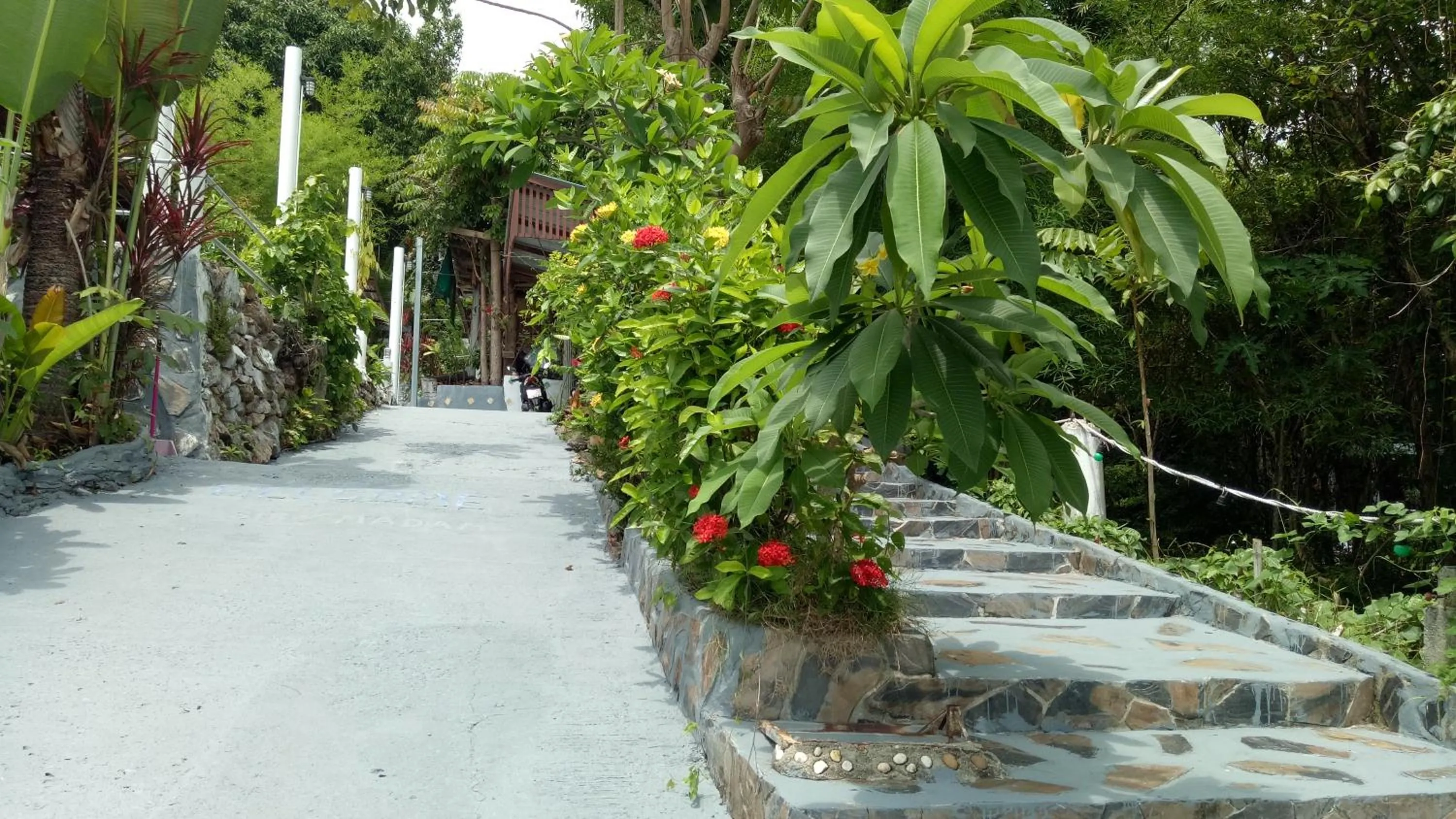 Comon Bungalow HaadChaoPhao