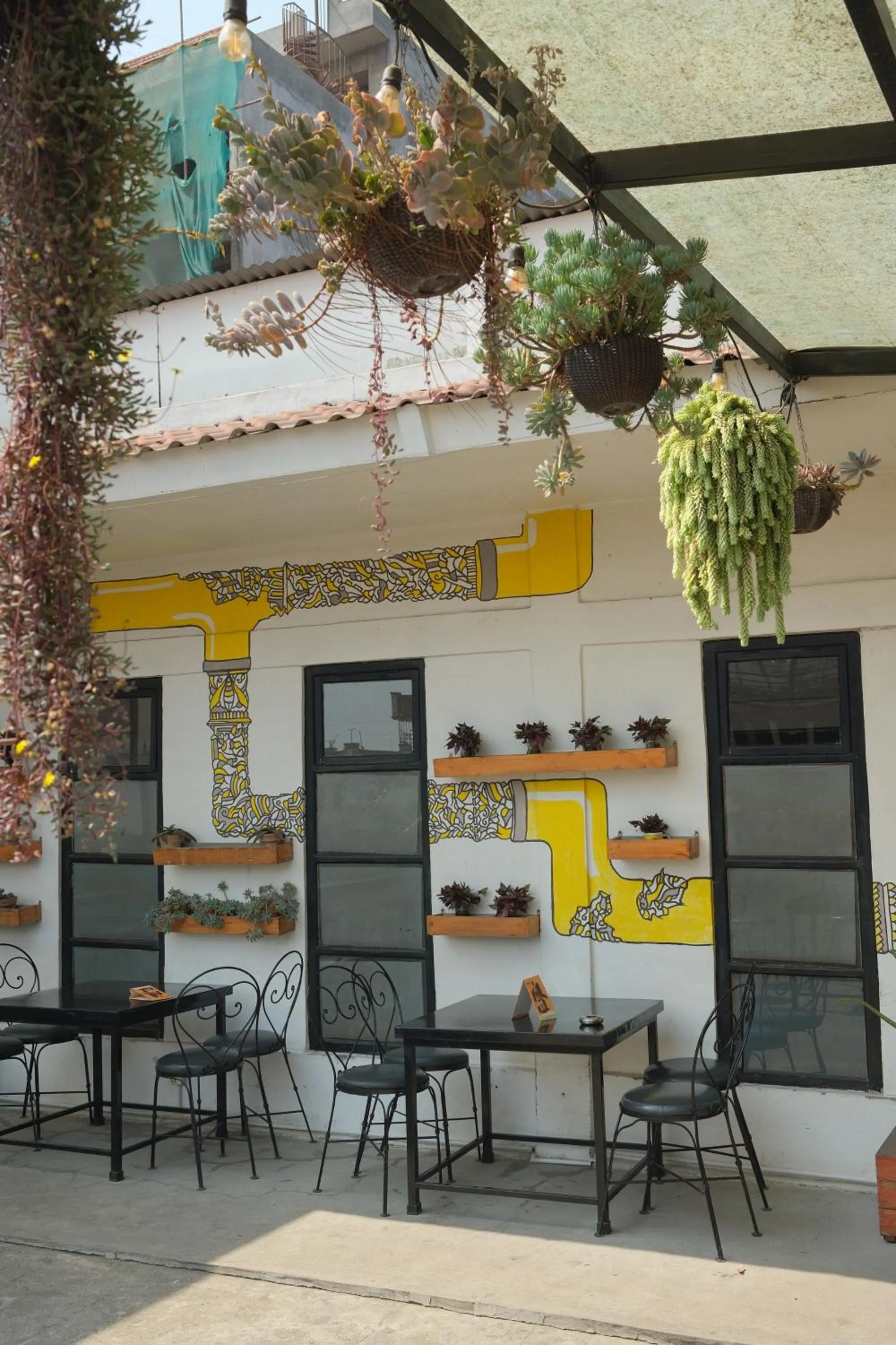 Property building in Yakety Yak Hostel