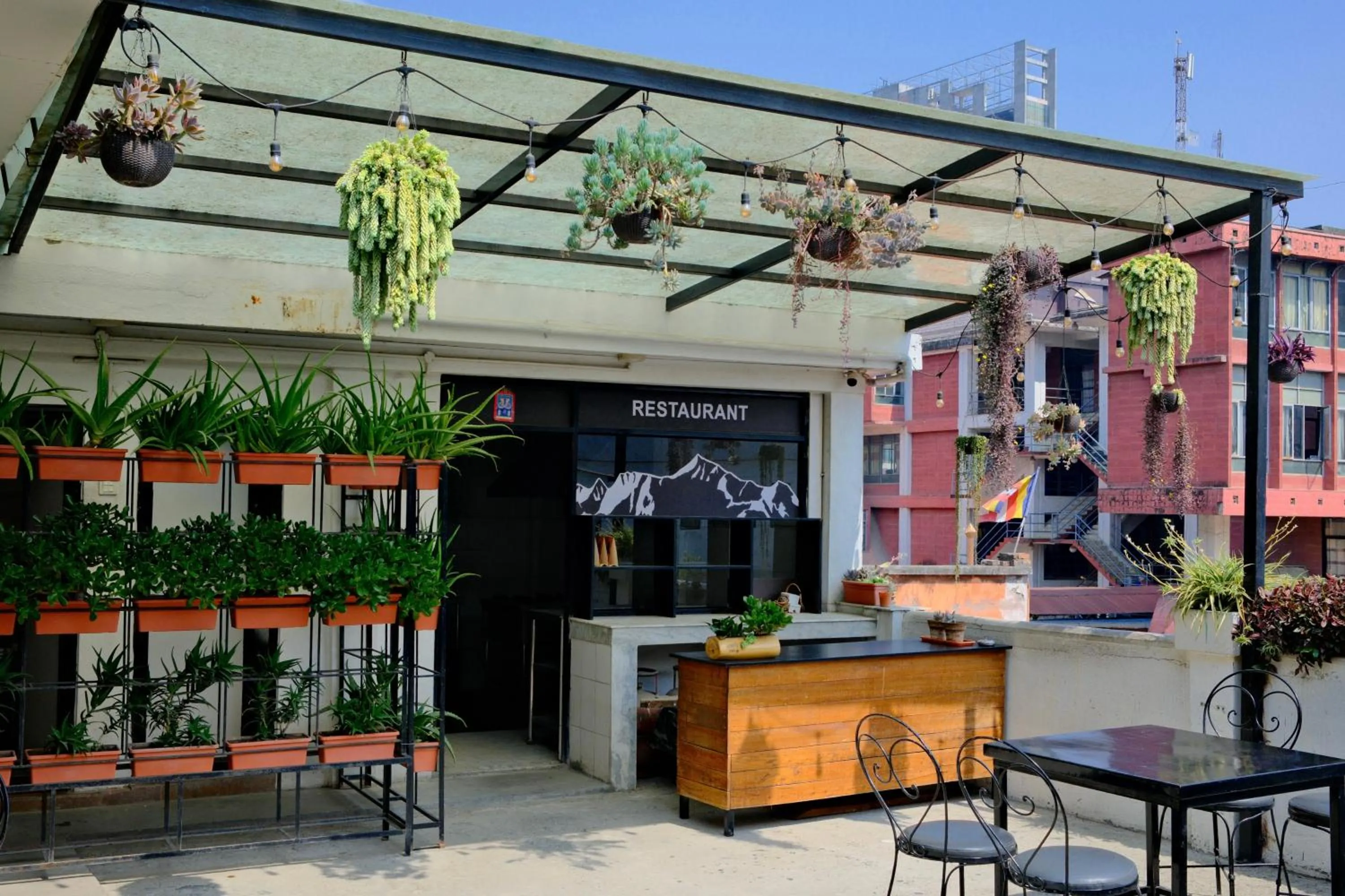 Property building in Yakety Yak Hostel