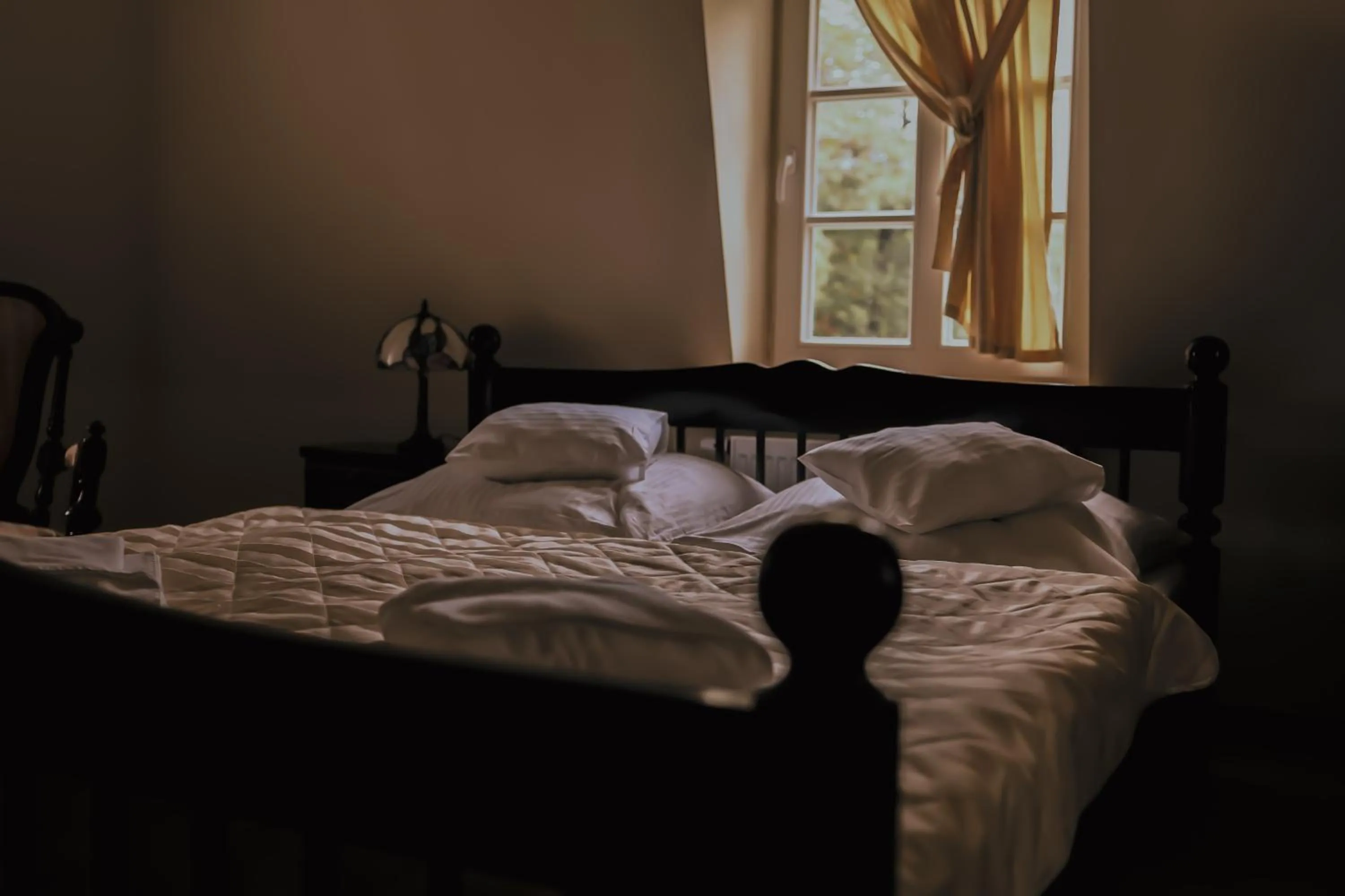 Photo of the whole room, Bed in Pałac Spiż Miłków koło Karpacza